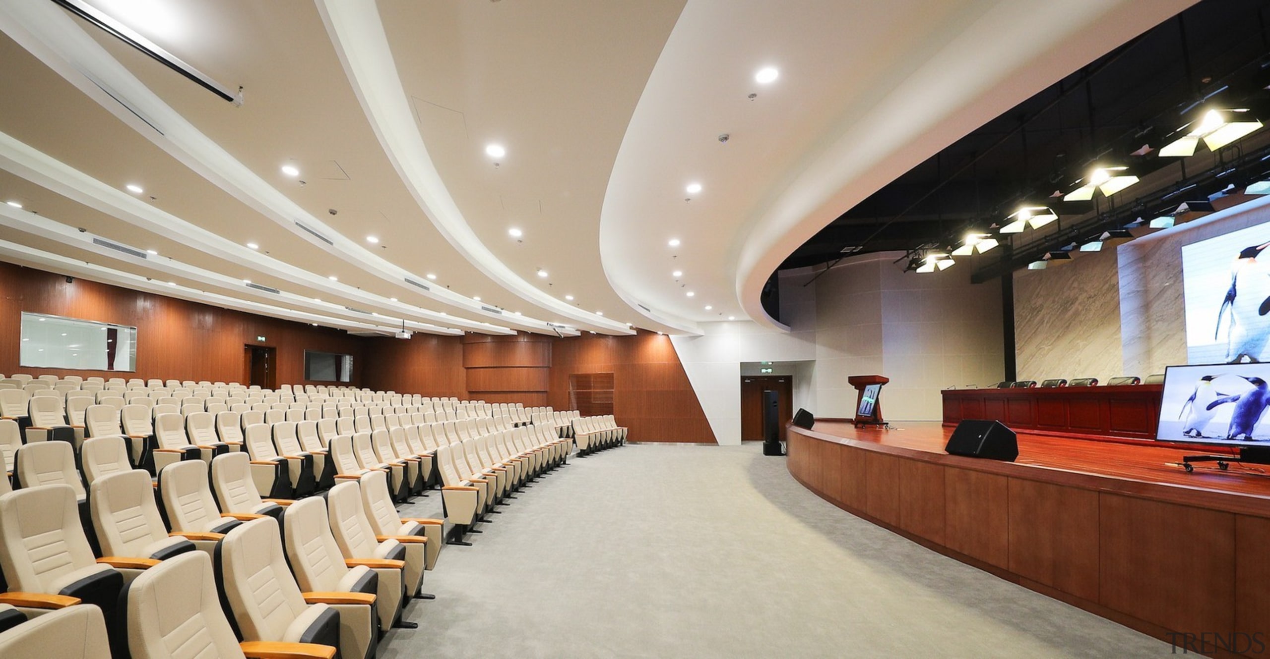 xxx - auditorium | ceiling | conference hall auditorium, ceiling, conference hall, convention center, function hall, interior design, performing arts center, gray