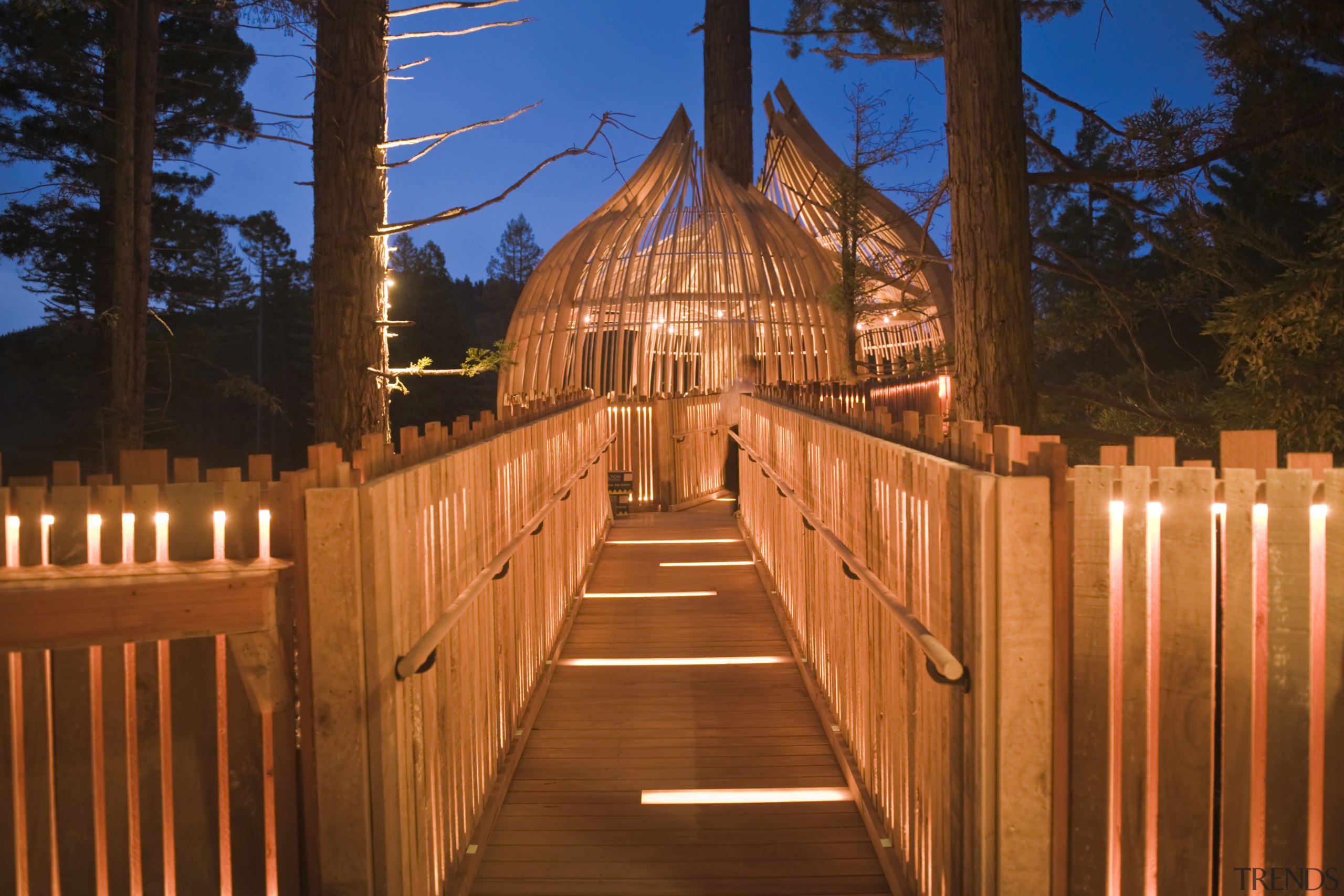 Image of the Yellow Treehouse restaurant which has evening, landmark, light, lighting, night, outdoor structure, sky, tourist attraction, tree, wood, brown