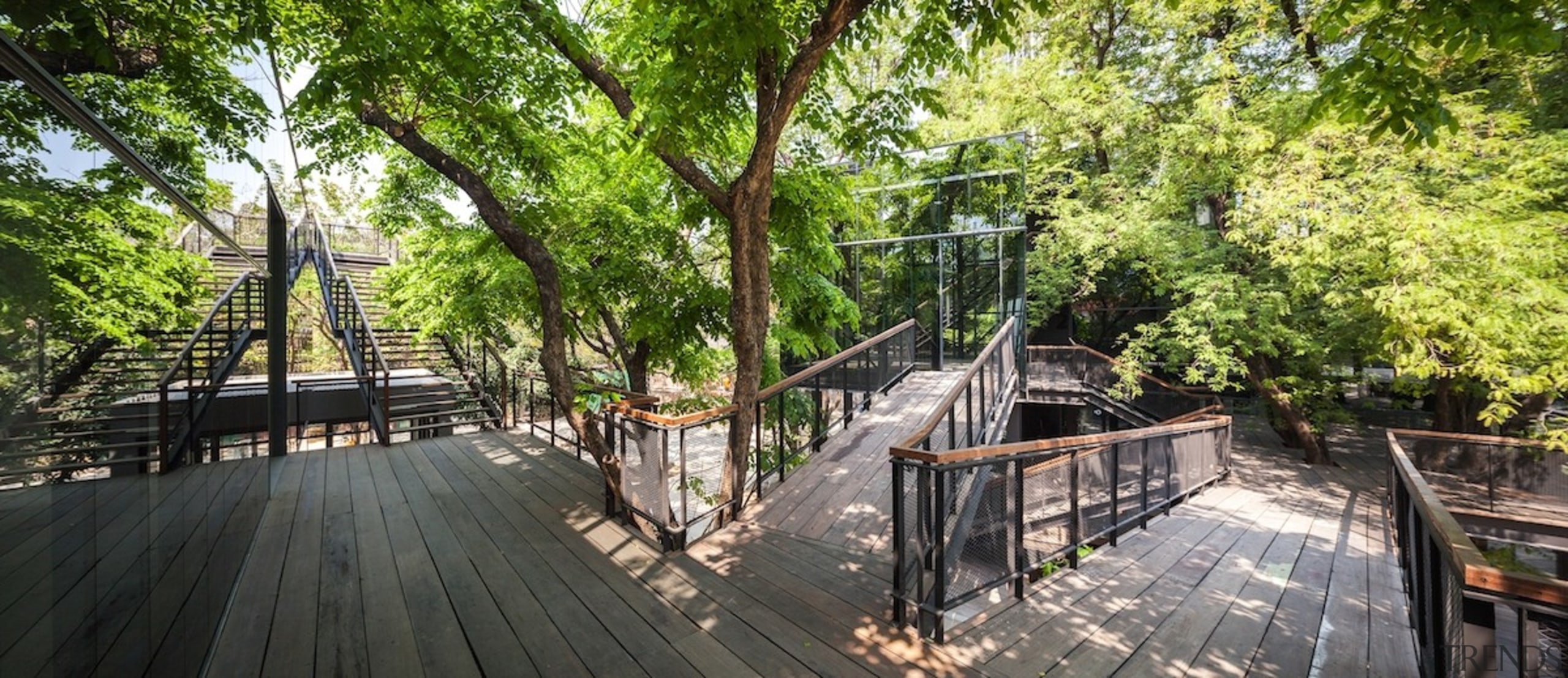 Naiipa 13 - canopy walkway | nature reserve canopy walkway, nature reserve, outdoor structure, path, plant, real estate, trail, tree, walkway, black