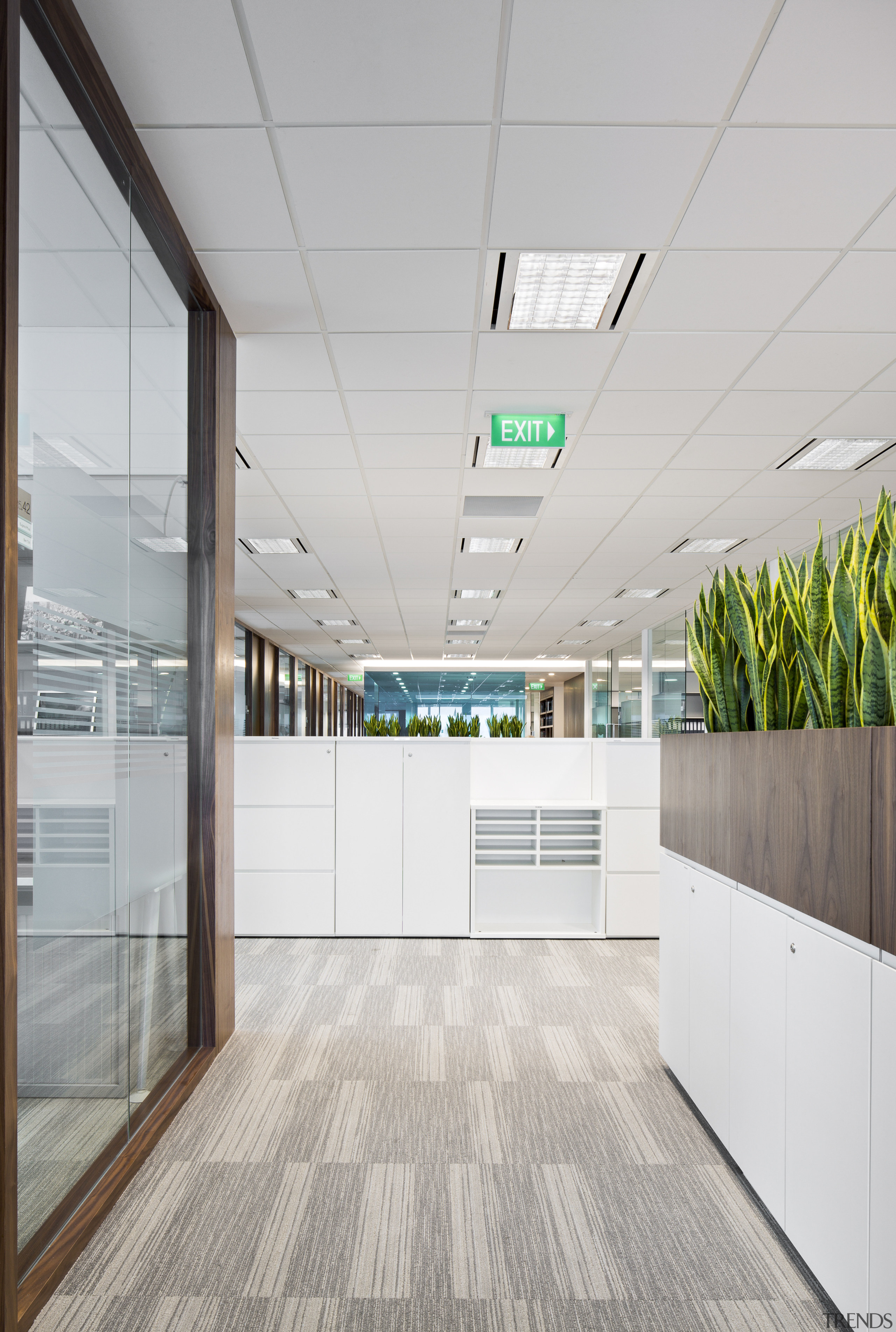 With its glossy white finishes and bold colour architecture, ceiling, daylighting, floor, interior design, office, wall, gray