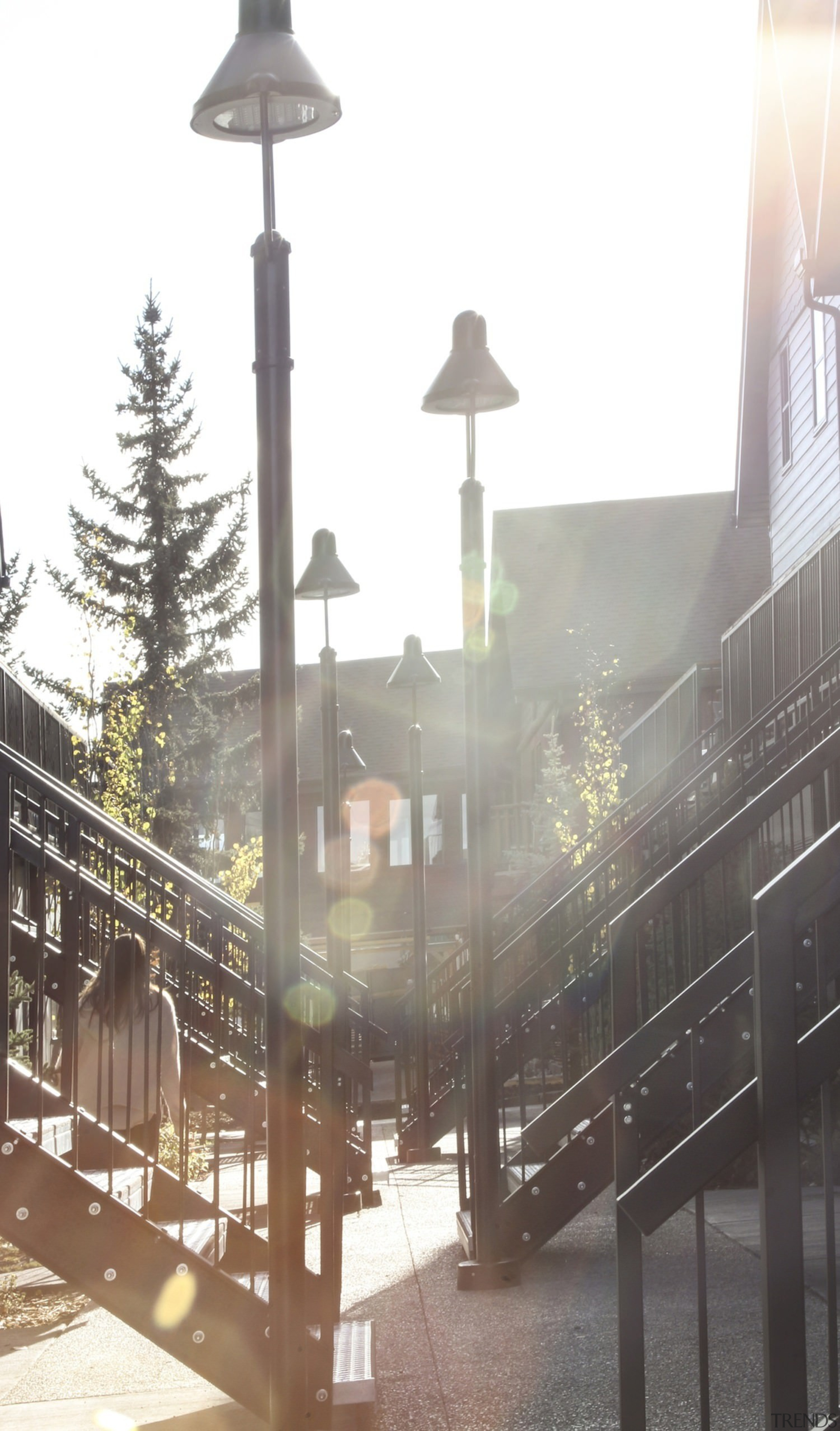 Elevated buildings make access easy during winter - building, light fixture, street light, town, tree, white, gray