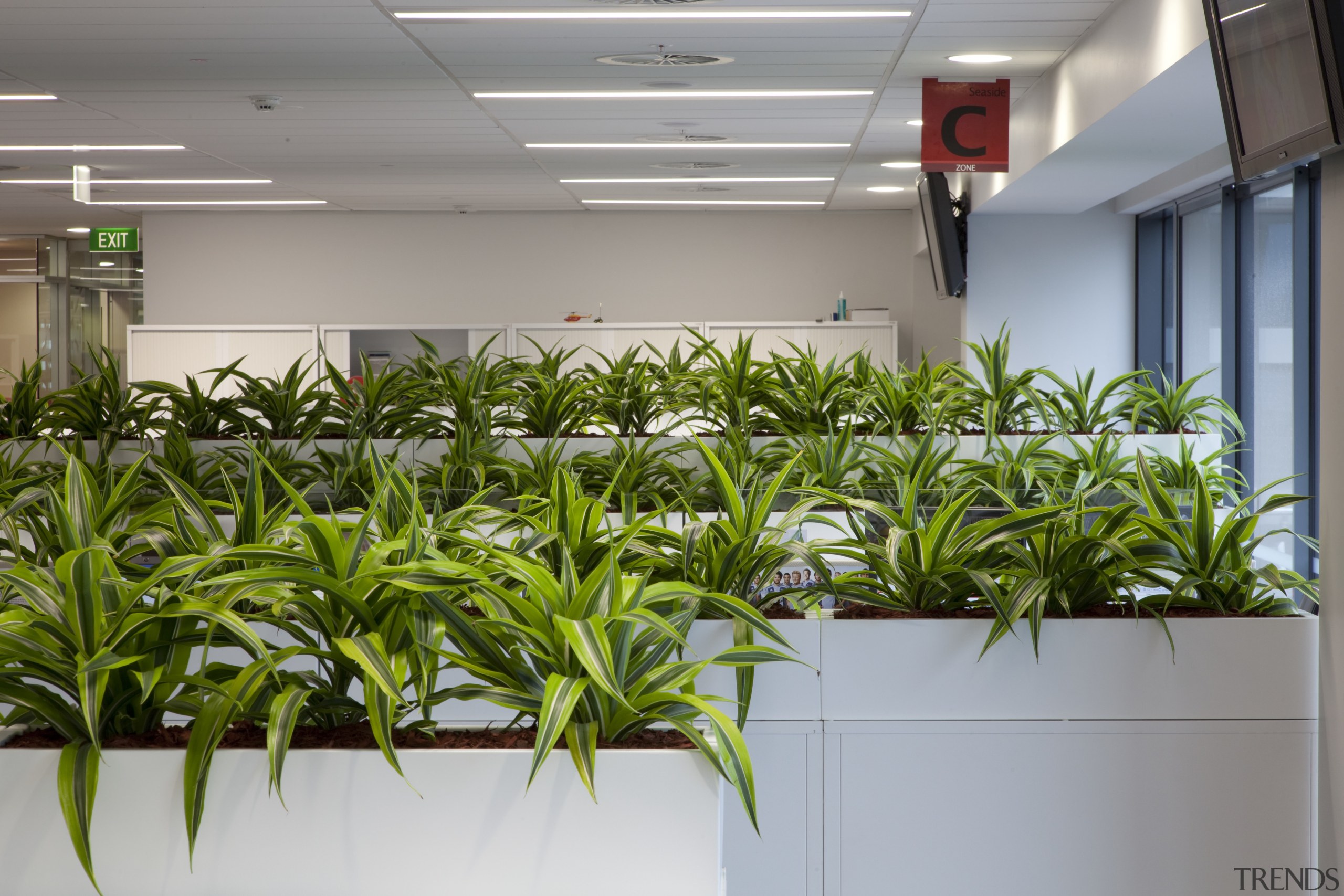 View of Inscape plants. - View of Inscape plant, gray