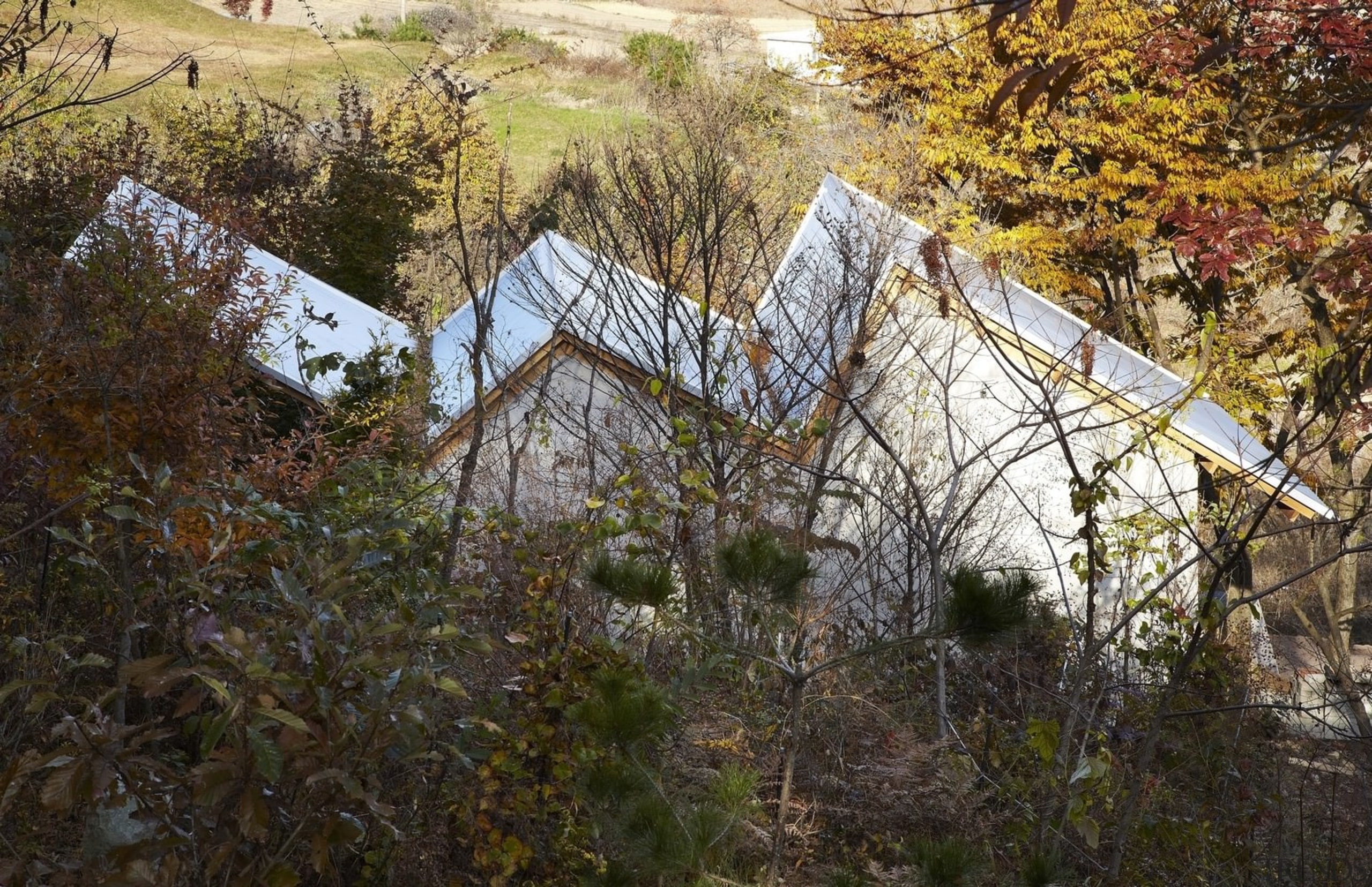 Looking down from the hill - Looking down biome, leaf, nature reserve, tree, brown