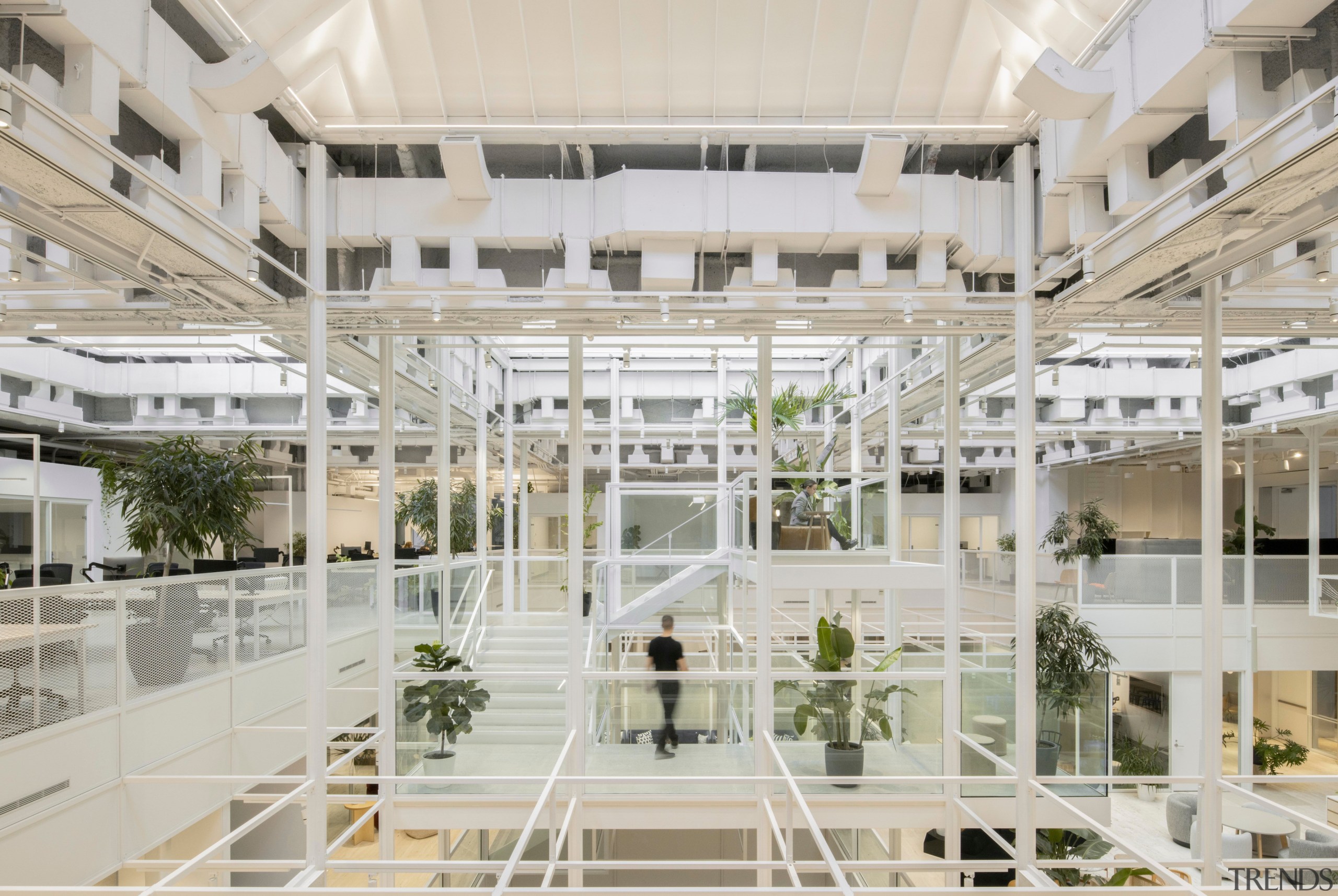On this mezzanine floor, the grid as an 