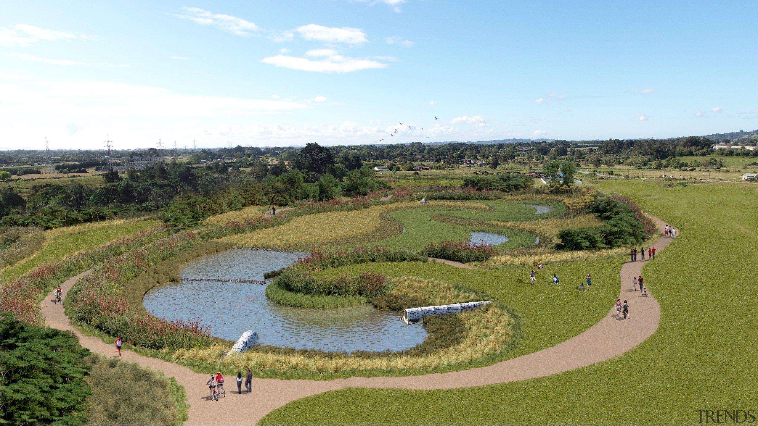 The speedy creation of the wetland with this 