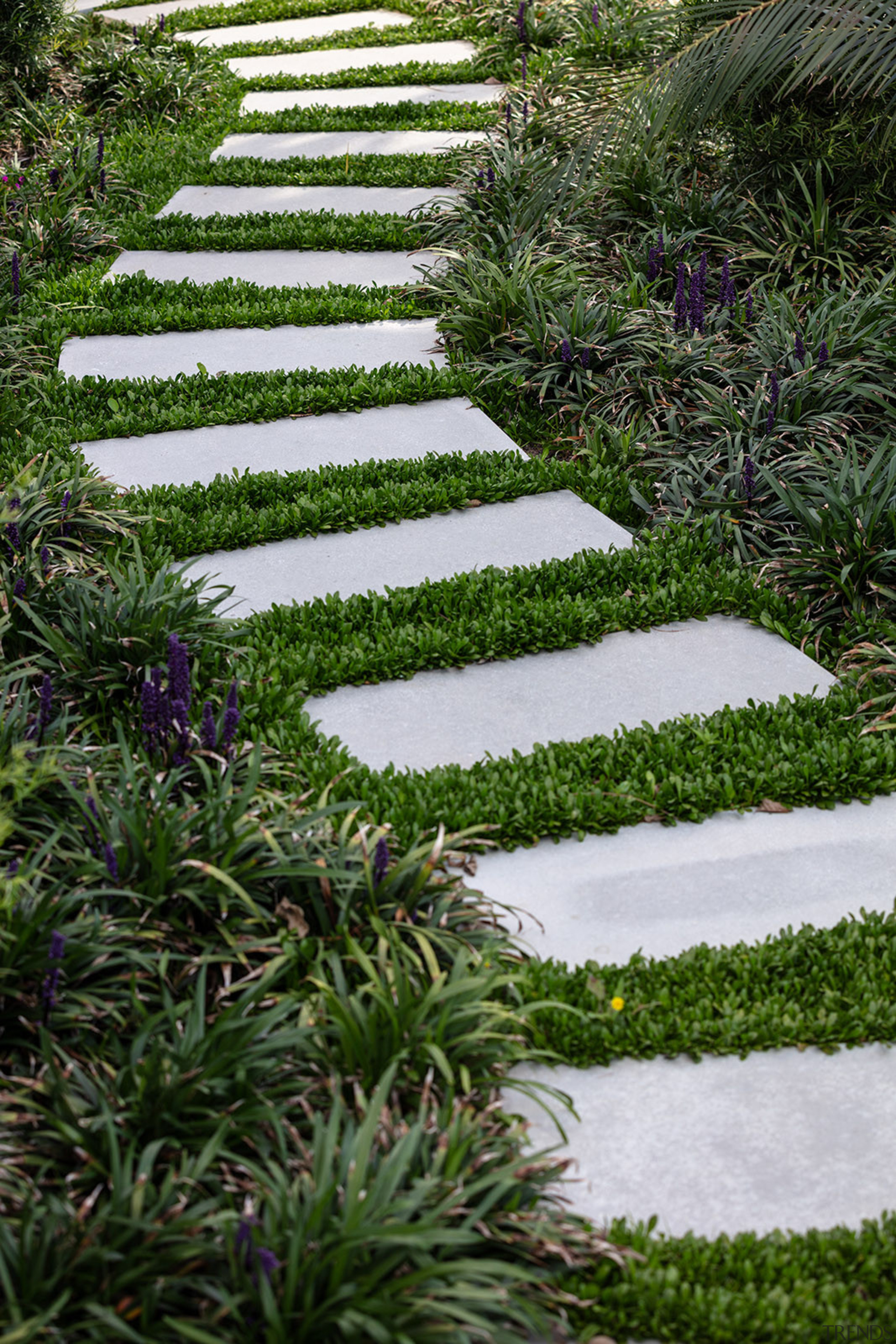 If you had to be led down a 