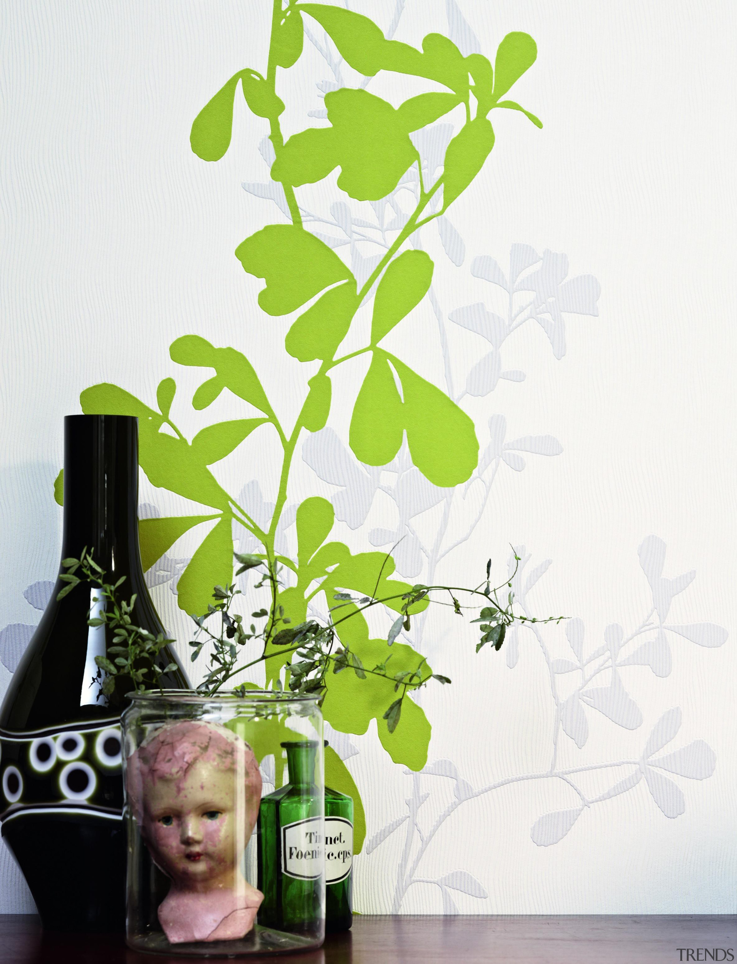 Chicago Range - Chicago Range - bottle | bottle, branch, flora, flowerpot, glass bottle, green, leaf, plant, product design, white