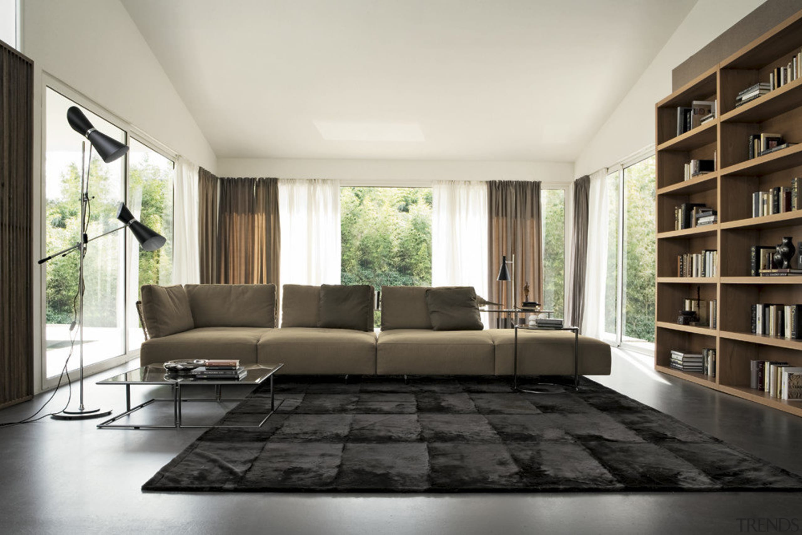 Lounge with dark floor rug. - Lounge with furniture, interior design, living room, window, white, black