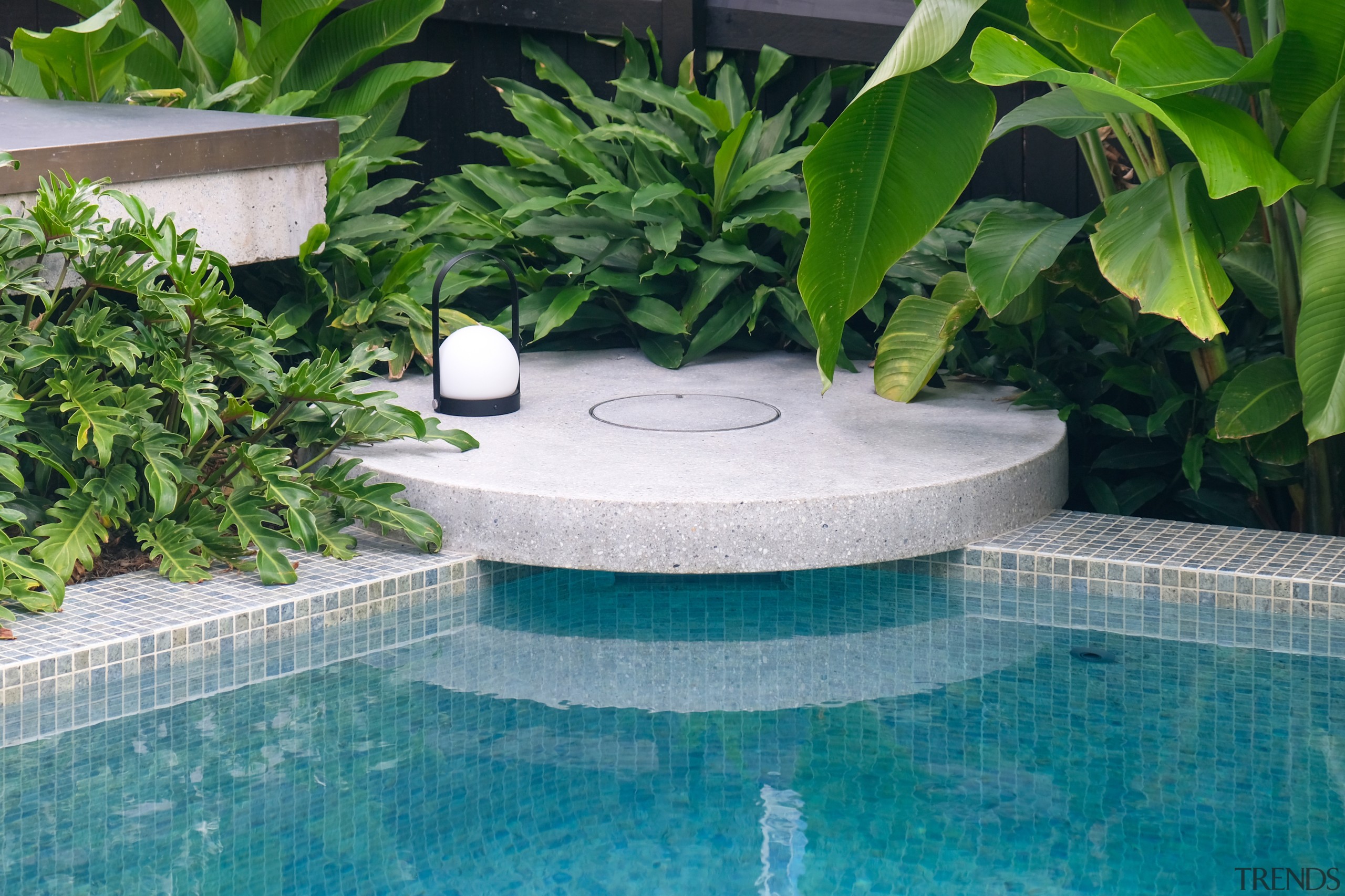Heliconias are seen to the far right and 