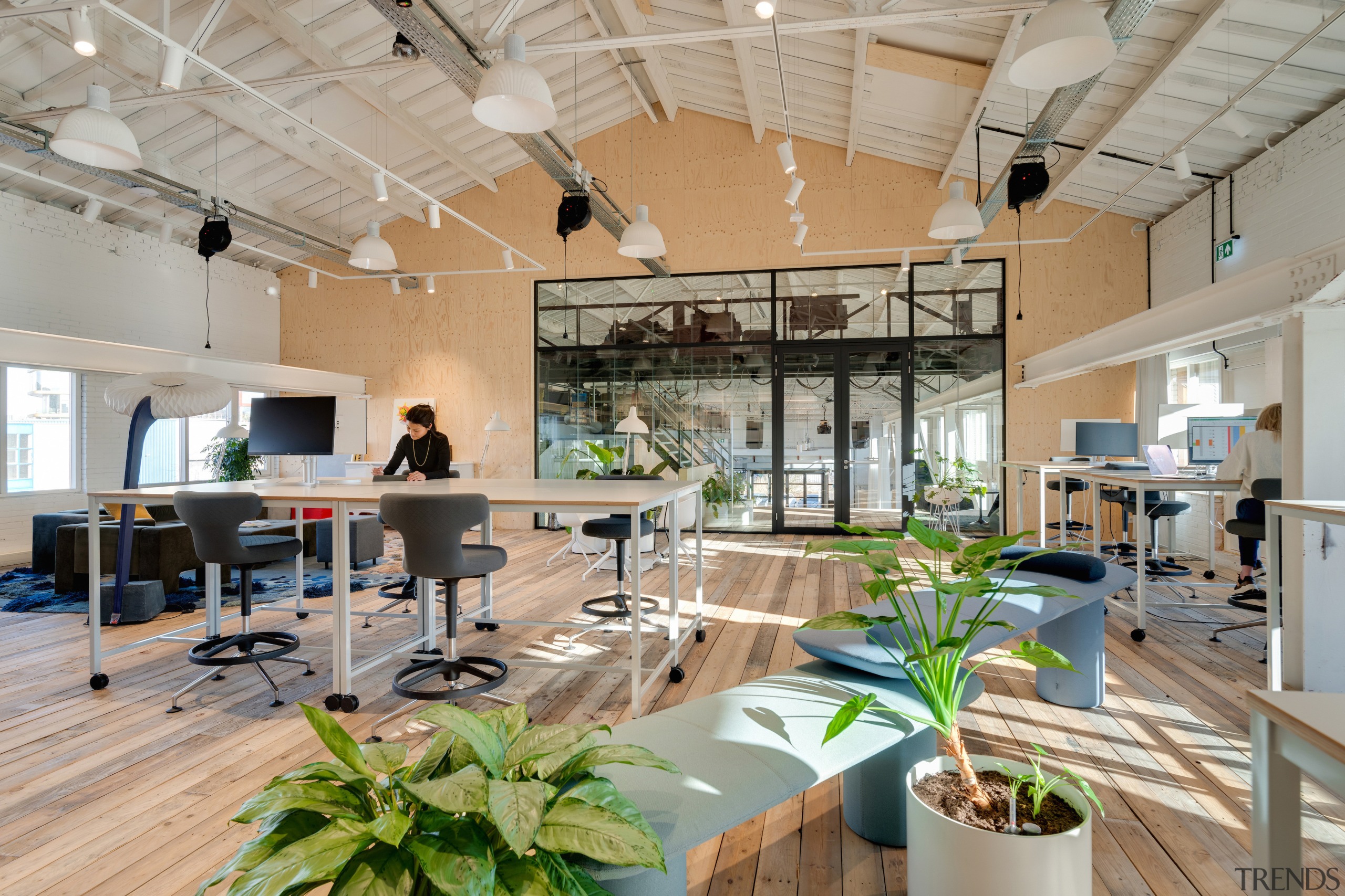 Biophilic touches abound. - One metre to the 