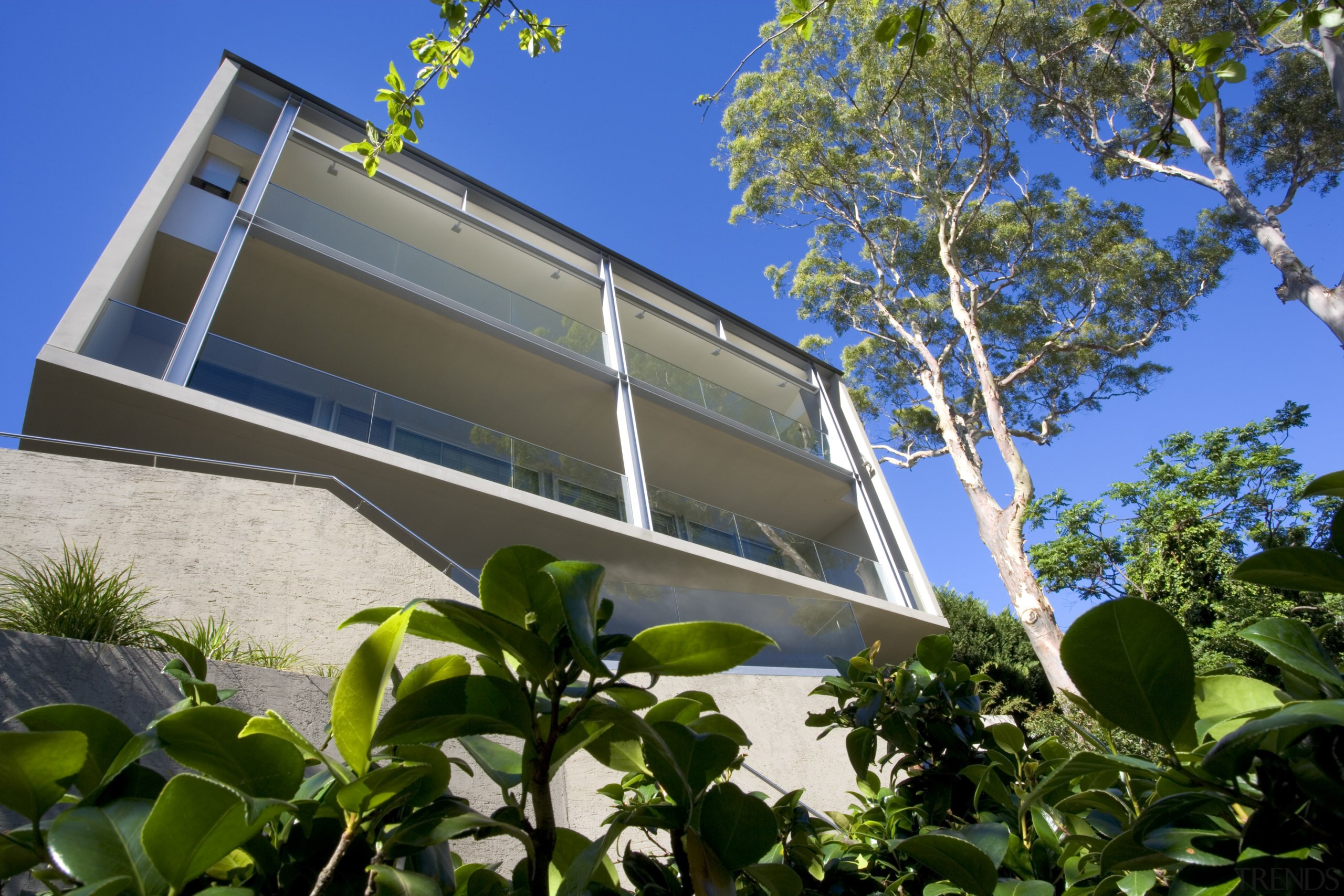 This home is built down a steep cliff, architecture, building, facade, home, house, plant, property, real estate, residential area, tree, blue