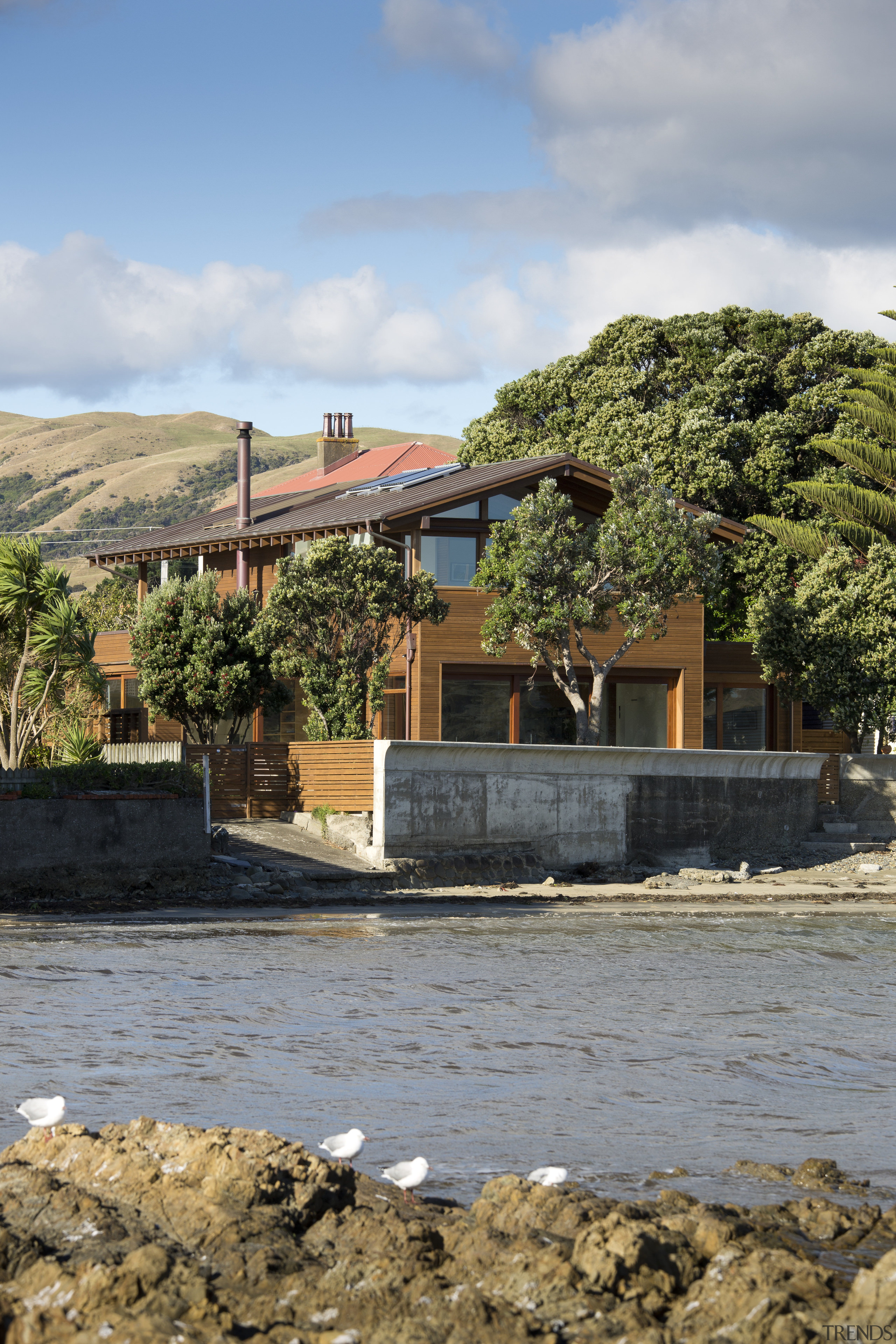 Coastal connections this house by Richard Middleton opens architecture, home, house, plant, real estate, sky, tree, water, gray