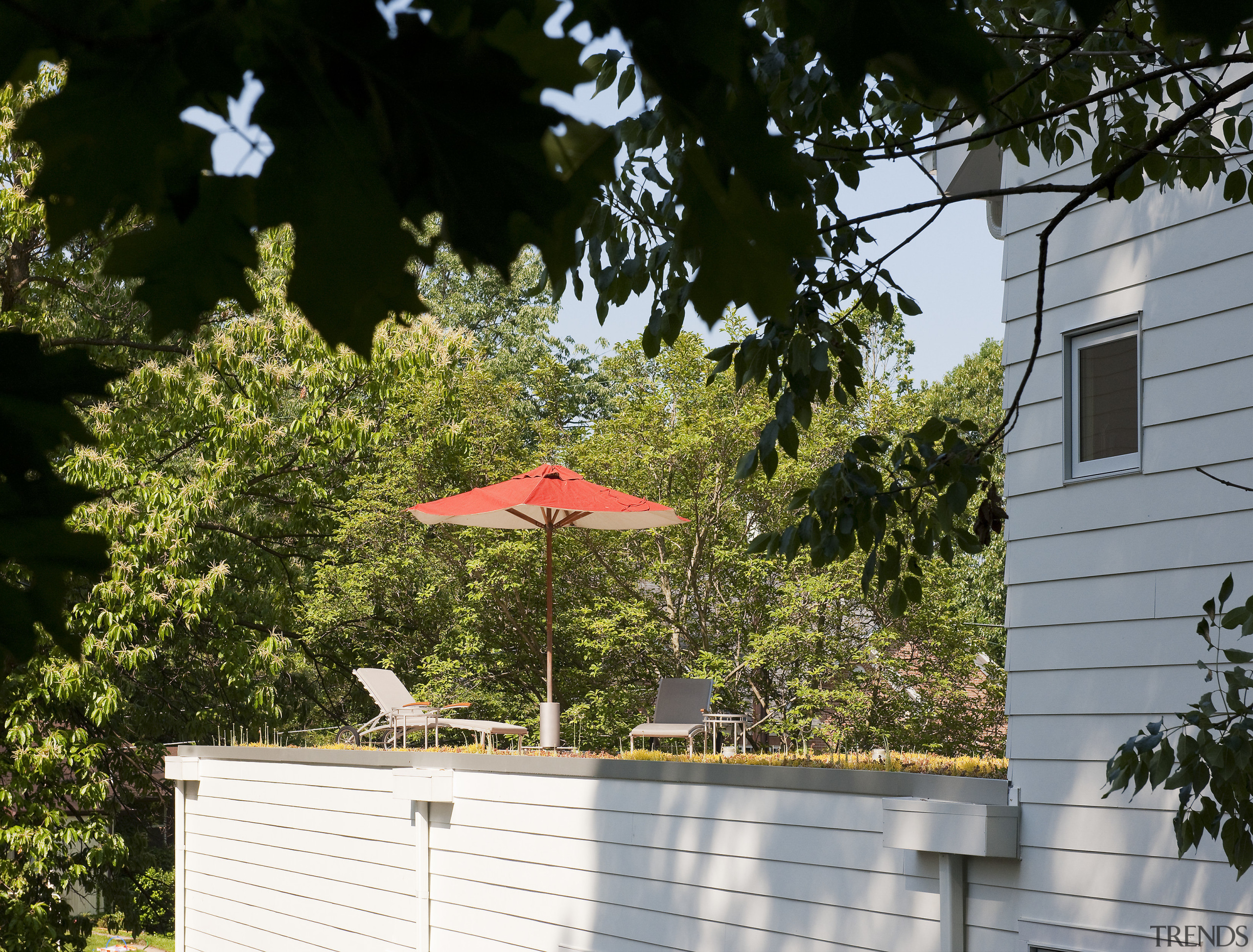 Exterior view of this contemporary remodeled home - backyard, cottage, home, house, outdoor structure, plant, property, real estate, roof, tree, window, yard, brown