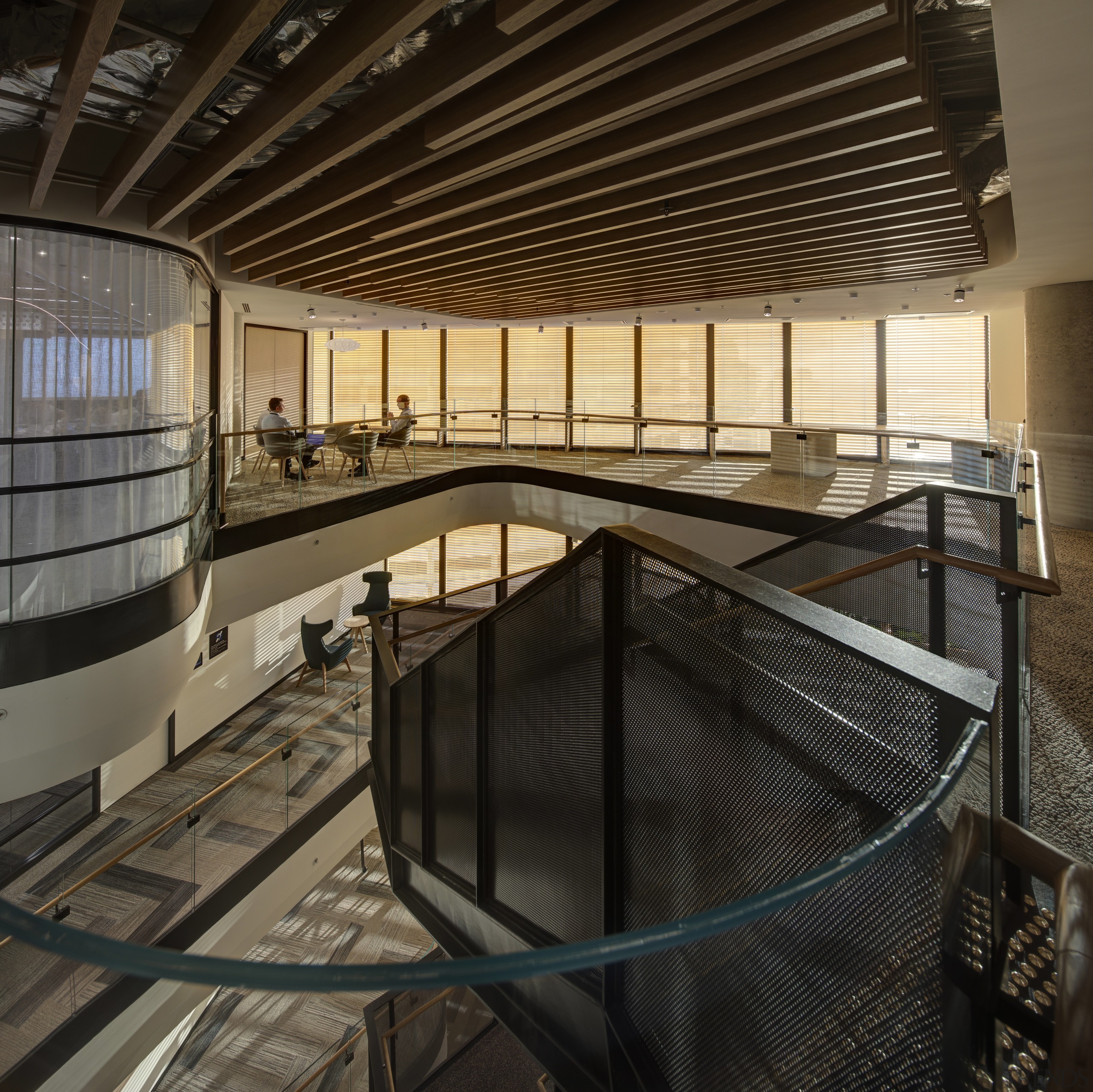 The organic shapes of the stair voids in architecture, building, daylighting, tourist attraction, black