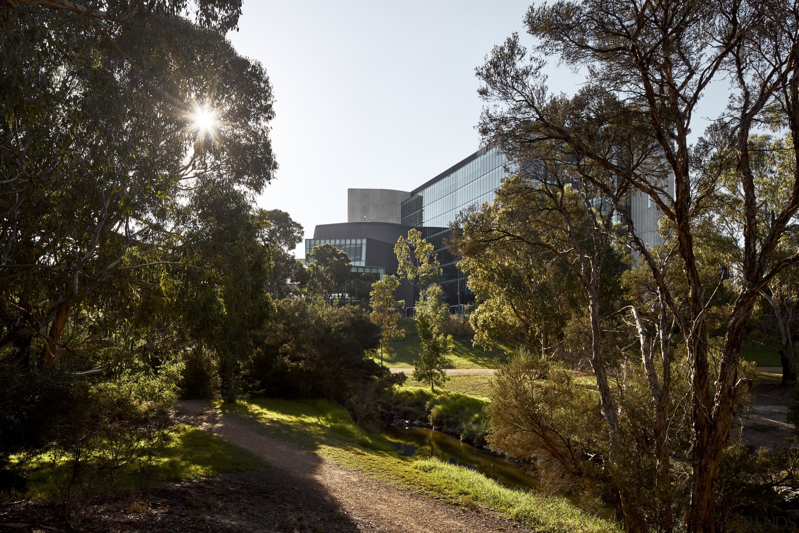 The new building viewed from a leafy, across-campus 