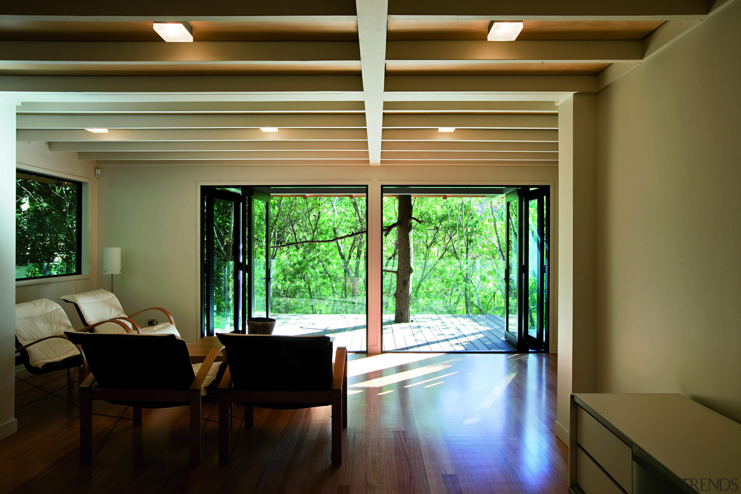 Remuera, Auckland - Glade House - architecture | architecture, ceiling, daylighting, house, interior design, living room, real estate, room, window, wood, brown