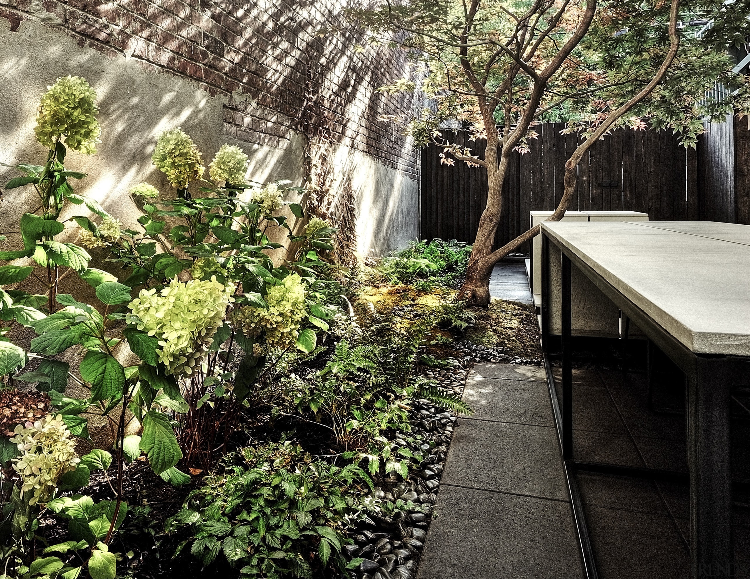 Backyard innovation - backyard | botanical garden | backyard, botanical garden, botany, flower, forest, garden, house, jungle, landscape, leaf, natural environment, plant, shrub, spring, sunlight, table, tree, vegetation, wood, yard, black