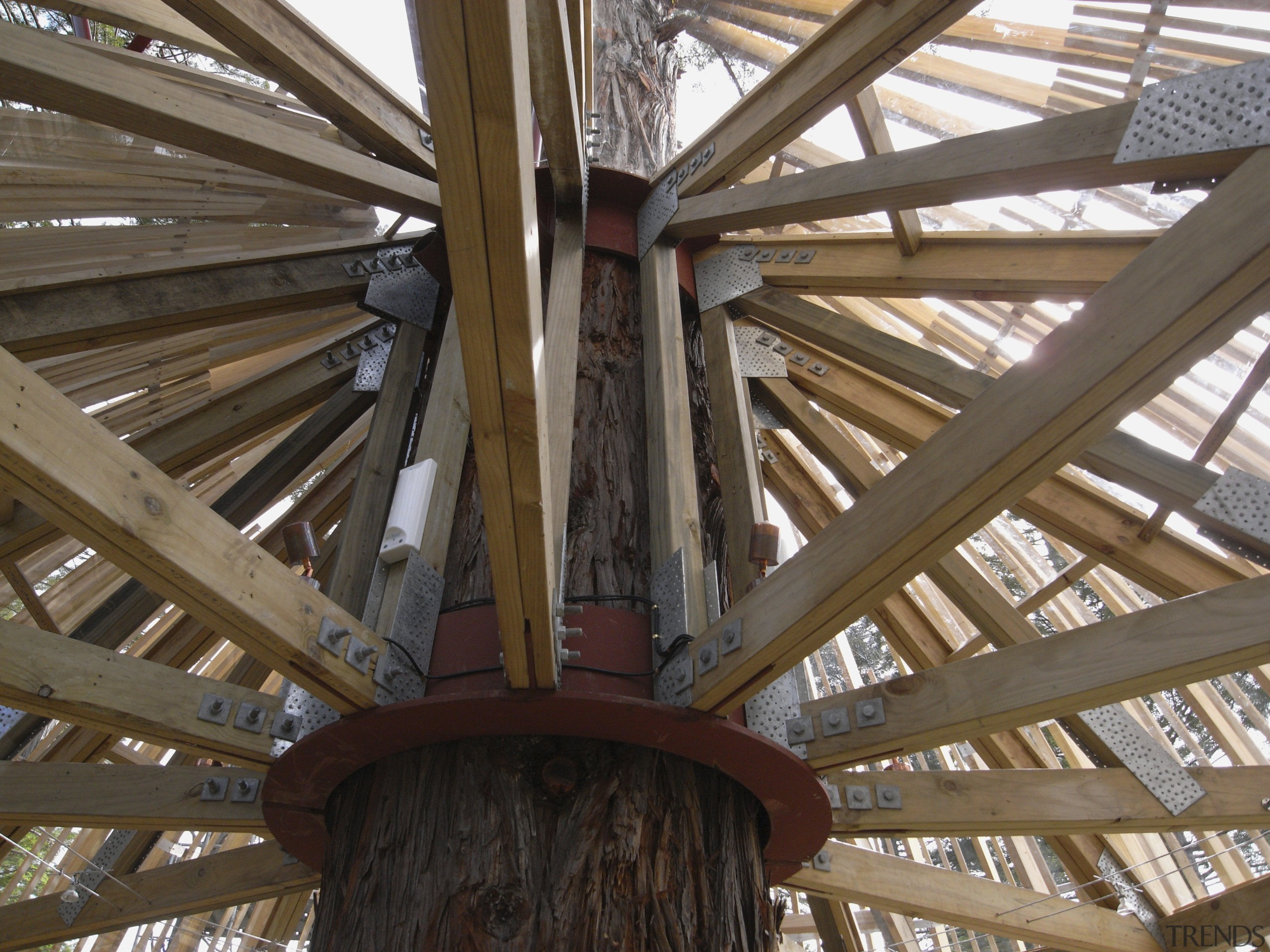 Image of the Yellow Treehouse restaurant which has beam, daylighting, outdoor structure, roof, structure, wood, brown