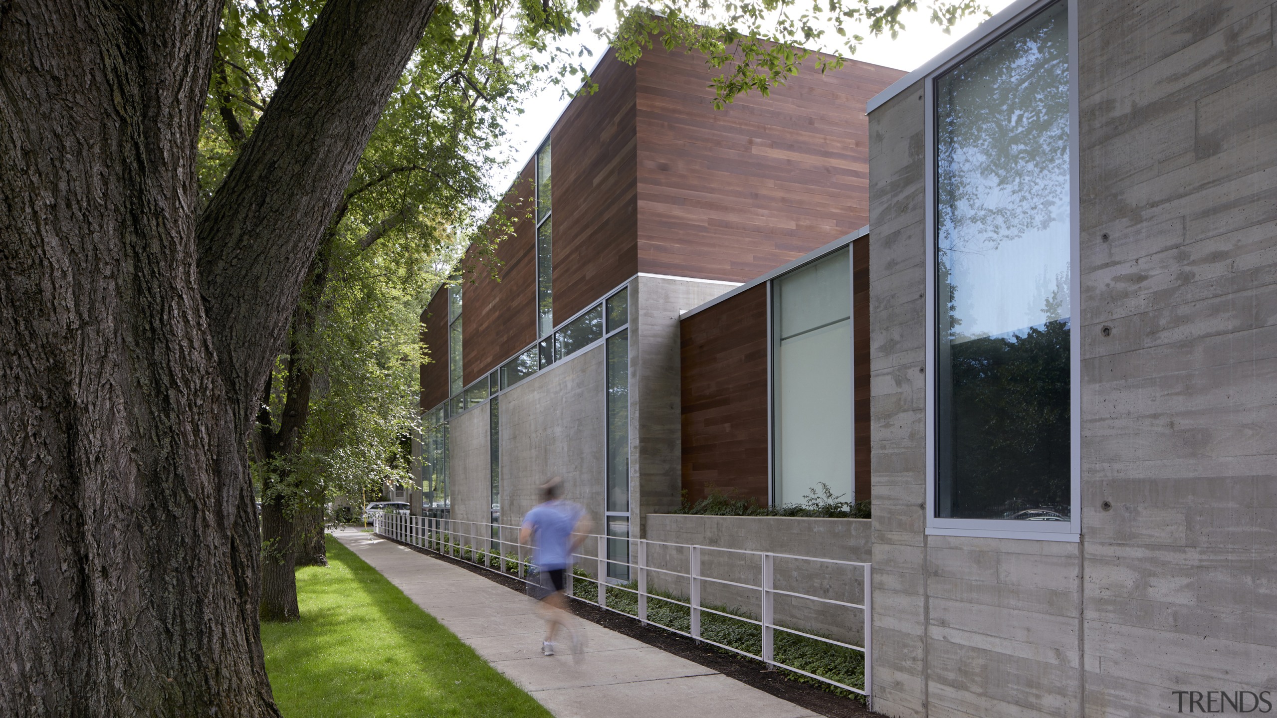 Concrete forms the base of this house and architecture, building, facade, home, house, property, real estate, room, tree, wall, gray, black