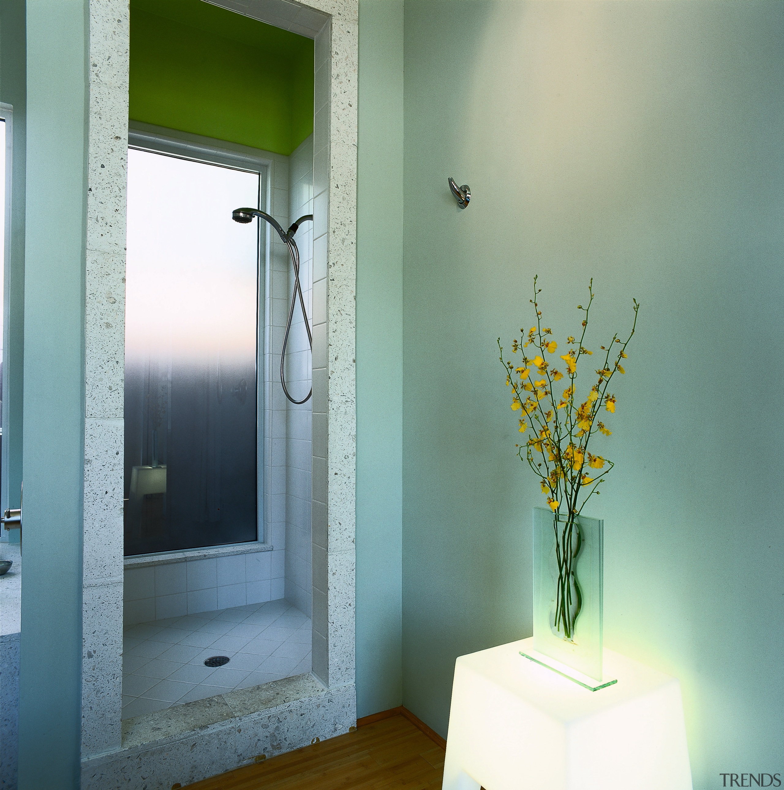 Interior view of the bathroom - Interior view bathroom, door, home, house, interior design, room, wall, window, green