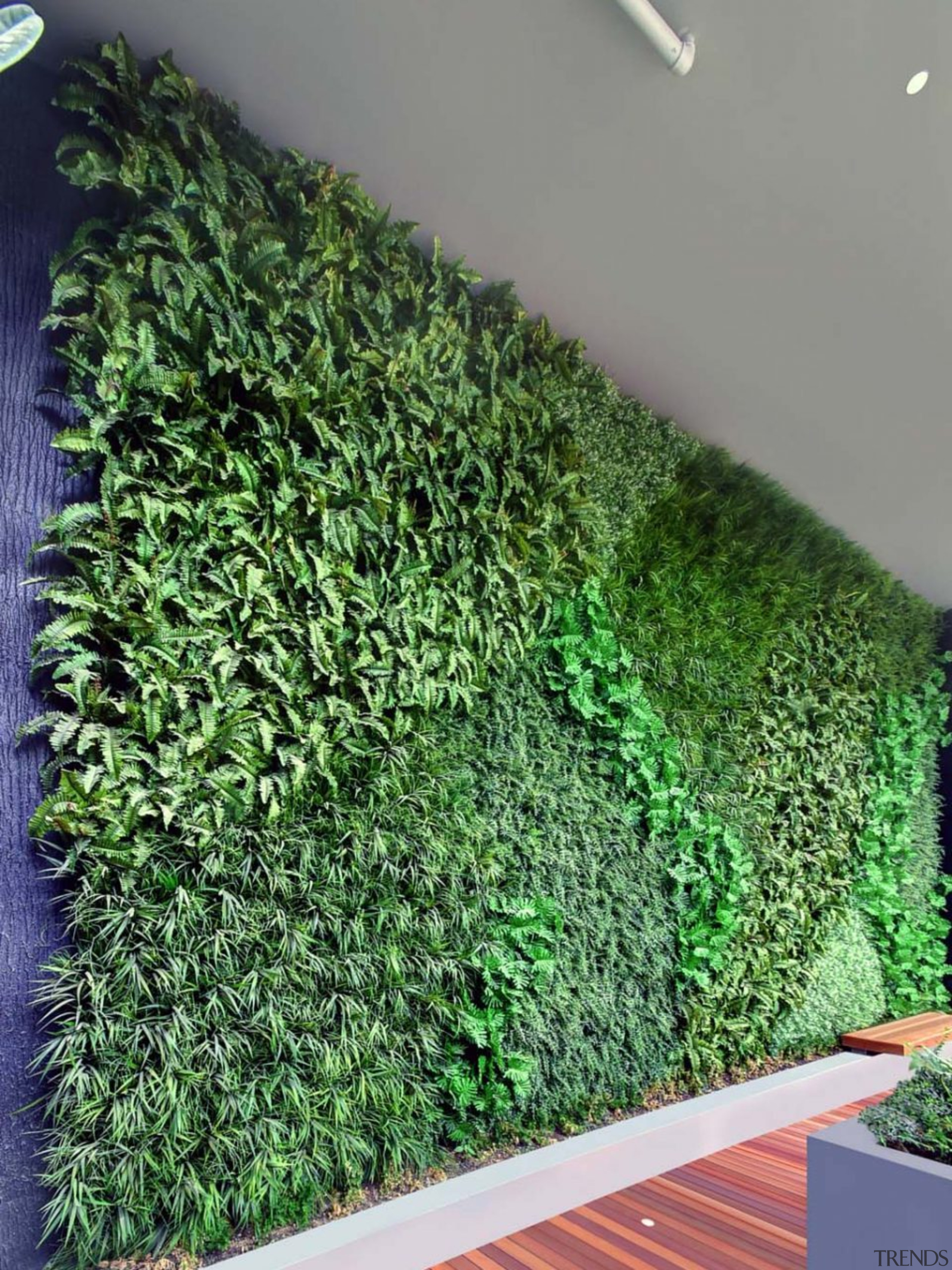 This Outdoor Feature Wall by Green Turf grass, hedge, plant, shrub, green