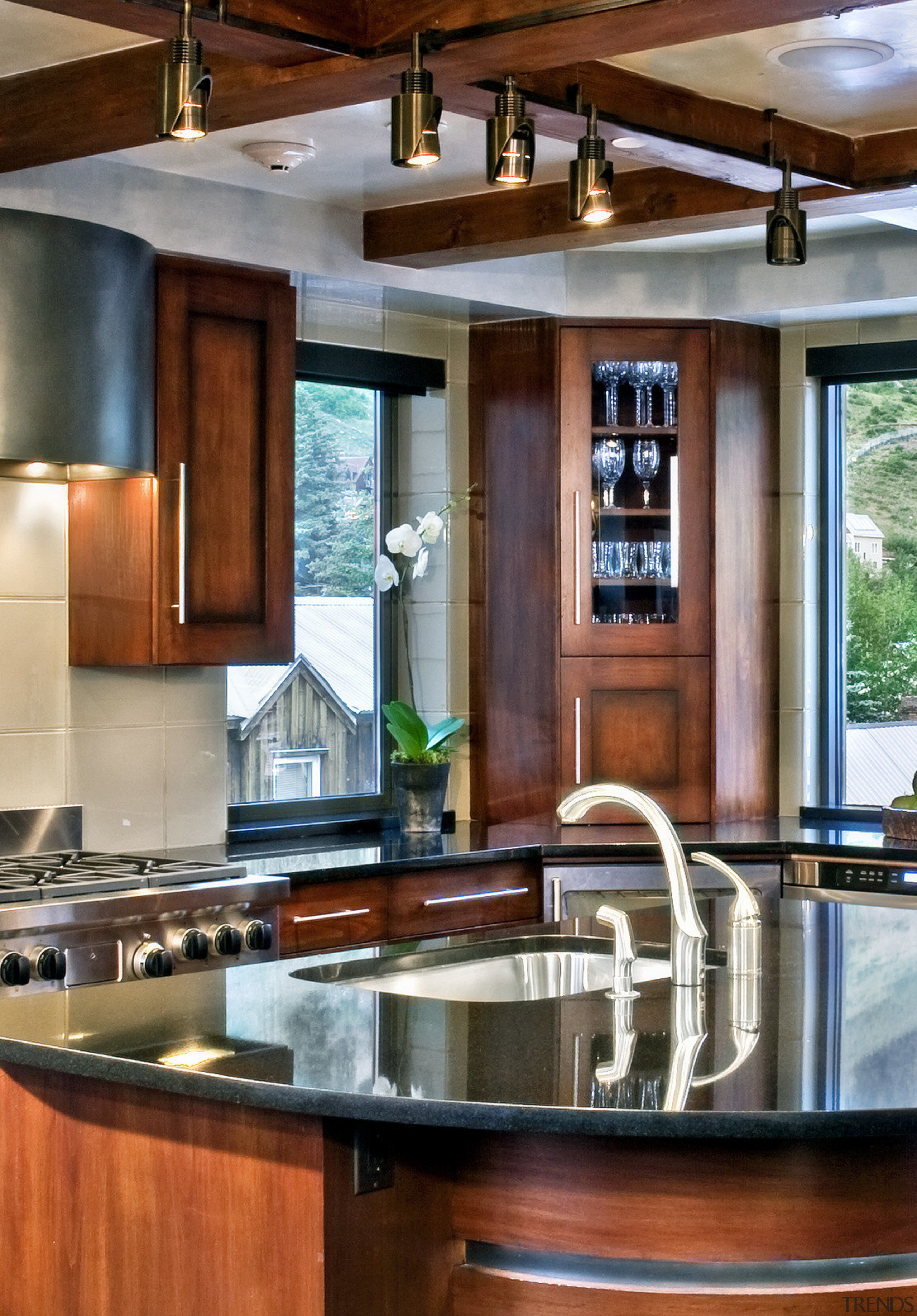 view of a kitchen which features a semi-circular cabinetry, countertop, interior design, kitchen, wood