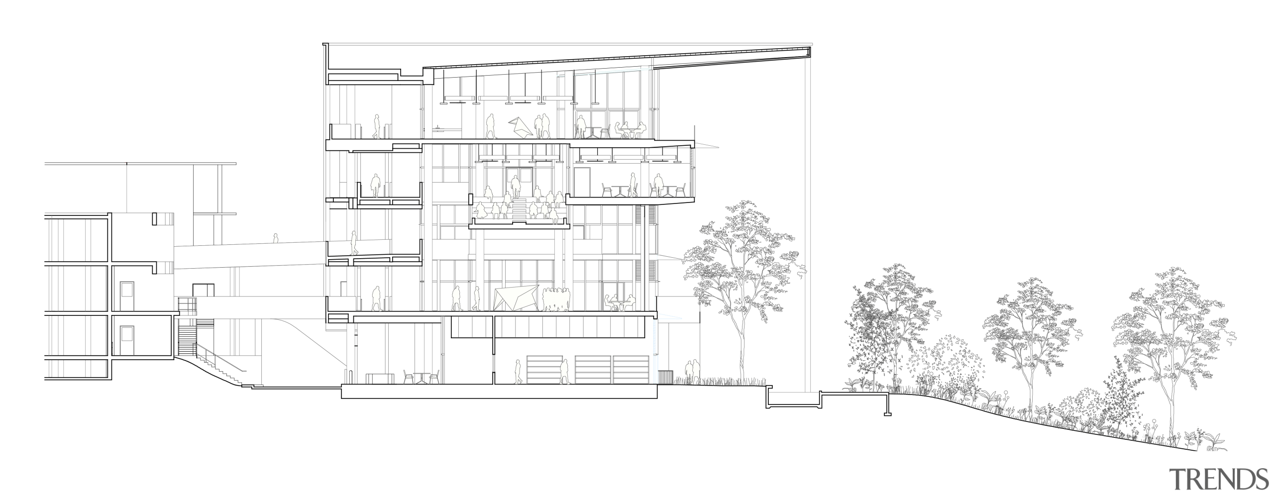 The short section of the new SDE4 studio architecture, building, diagram, drawing, university SDE4 studio, Serie & Multiply Architects