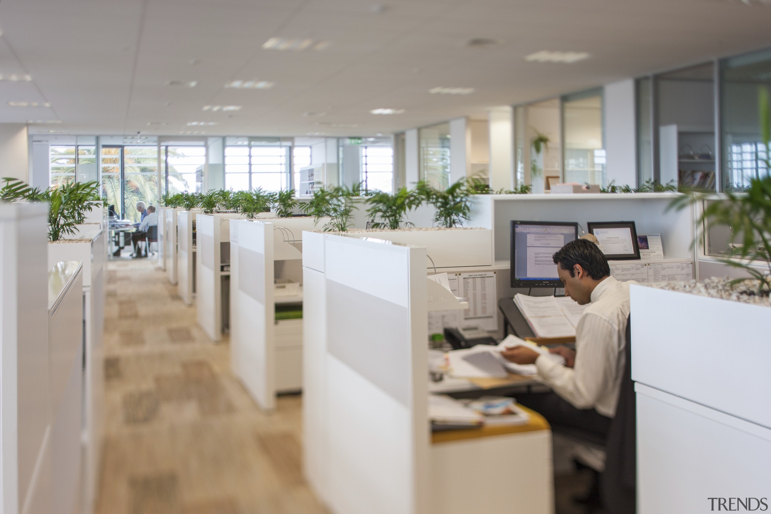 The first office block with a Green Star interior design, office, gray