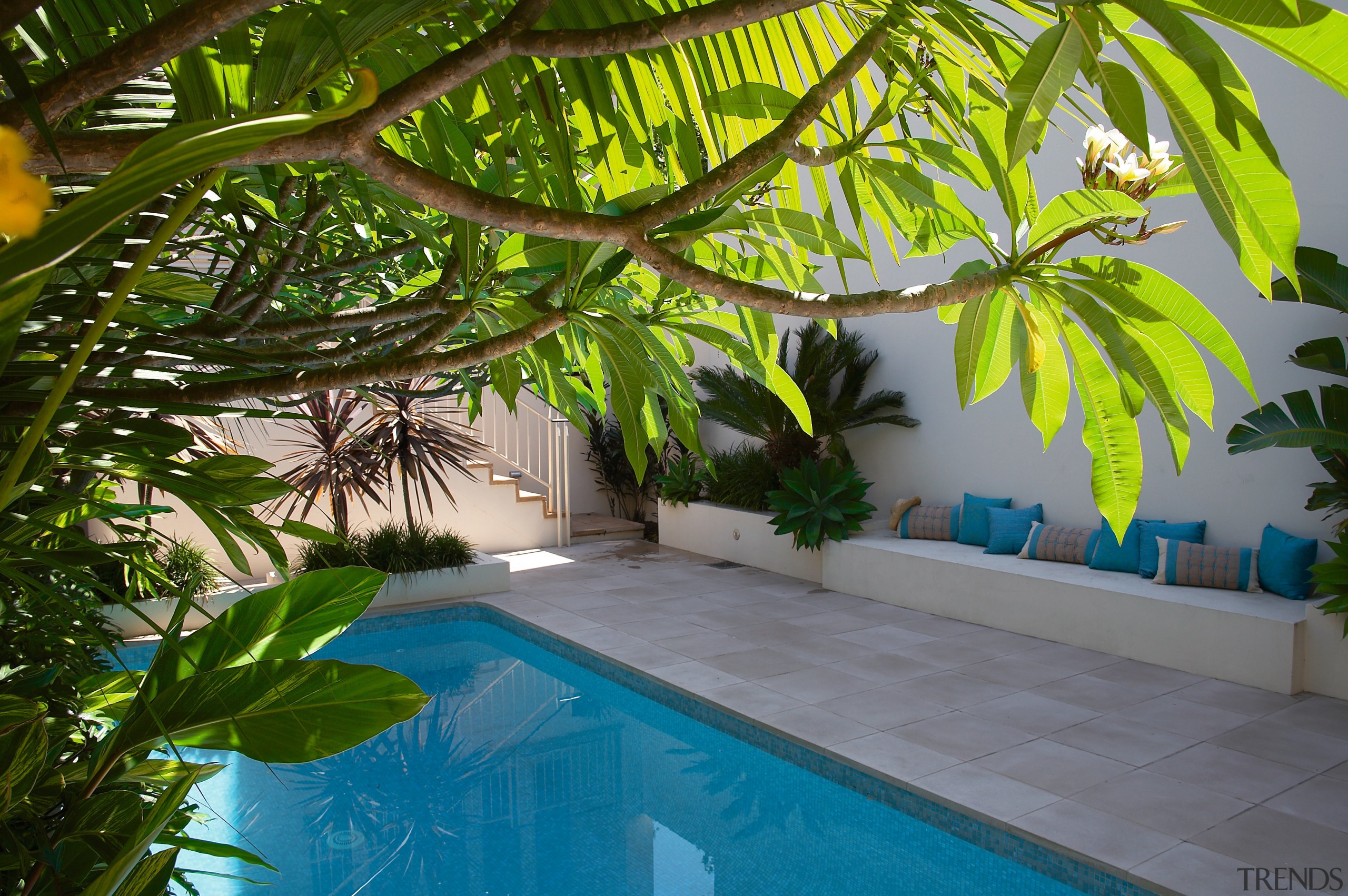 View of this Secluded pool surround by lush arecales, backyard, estate, home, house, leaf, leisure, majorelle blue, palm tree, plant, property, real estate, resort, swimming pool, tree, tropics, brown, gray