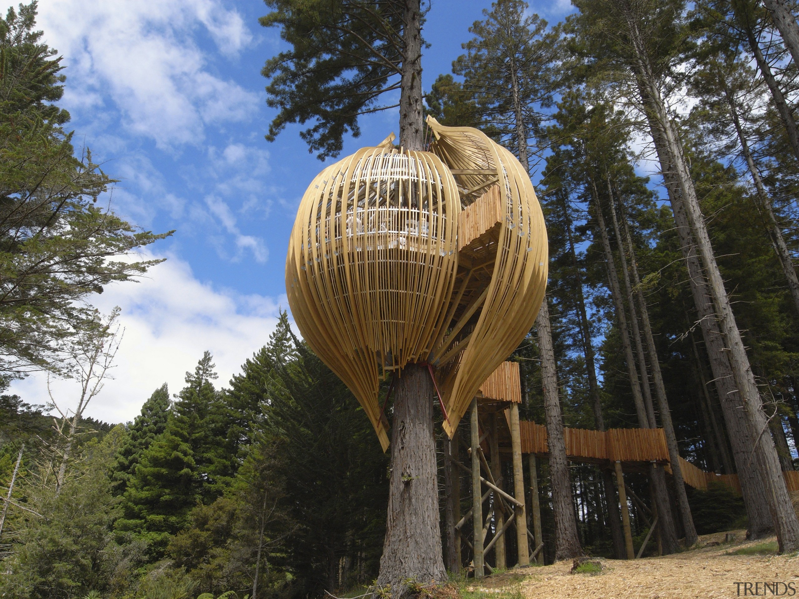 Image of the Yellow Treehouse restaurant which has outdoor structure, plant, tree, tree house, black, brown