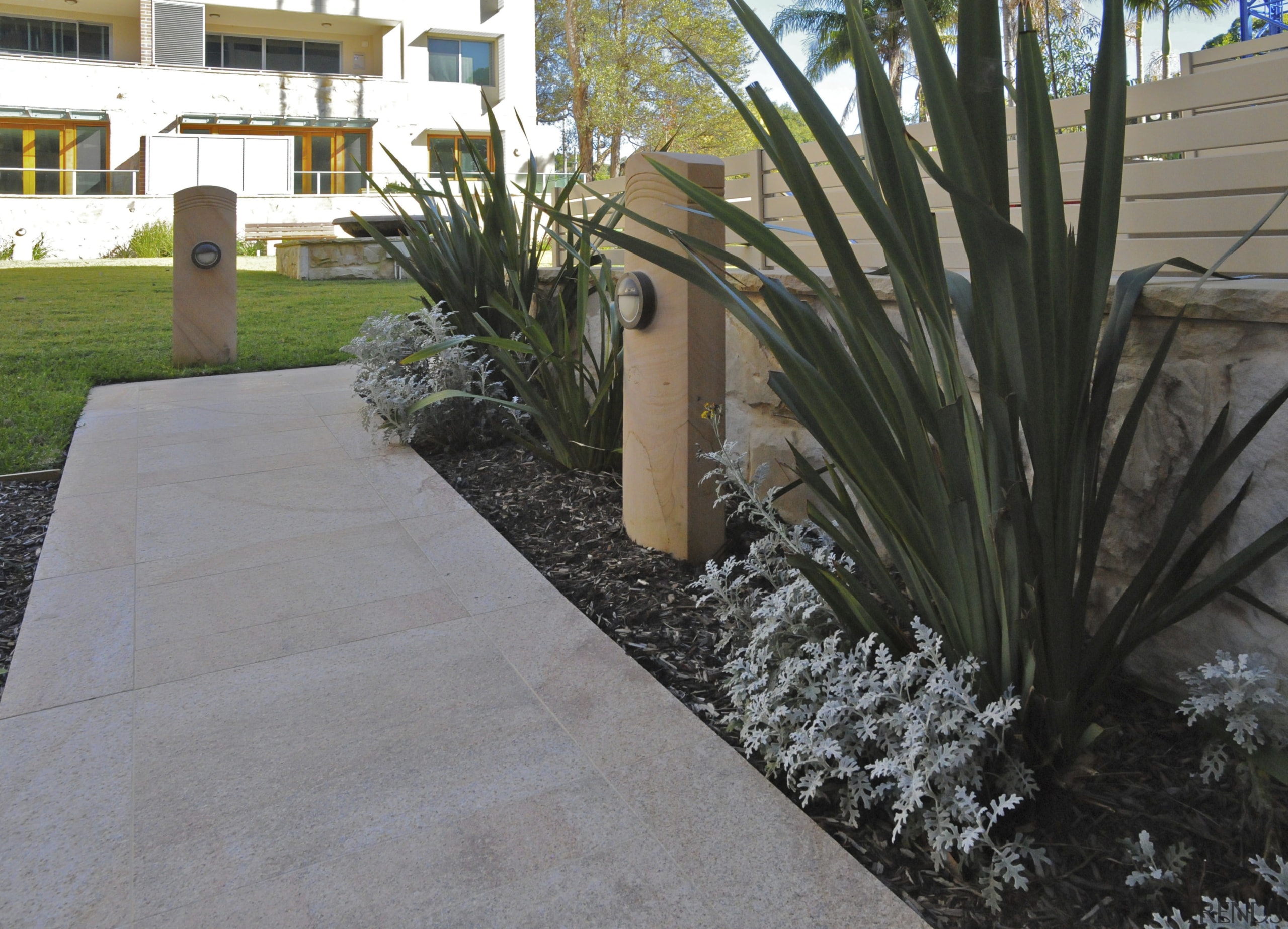 View of a paved pathway at the Lindfield agave, arecales, courtyard, grass, landscape, landscaping, palm tree, plant, walkway, wall, yard, gray, black