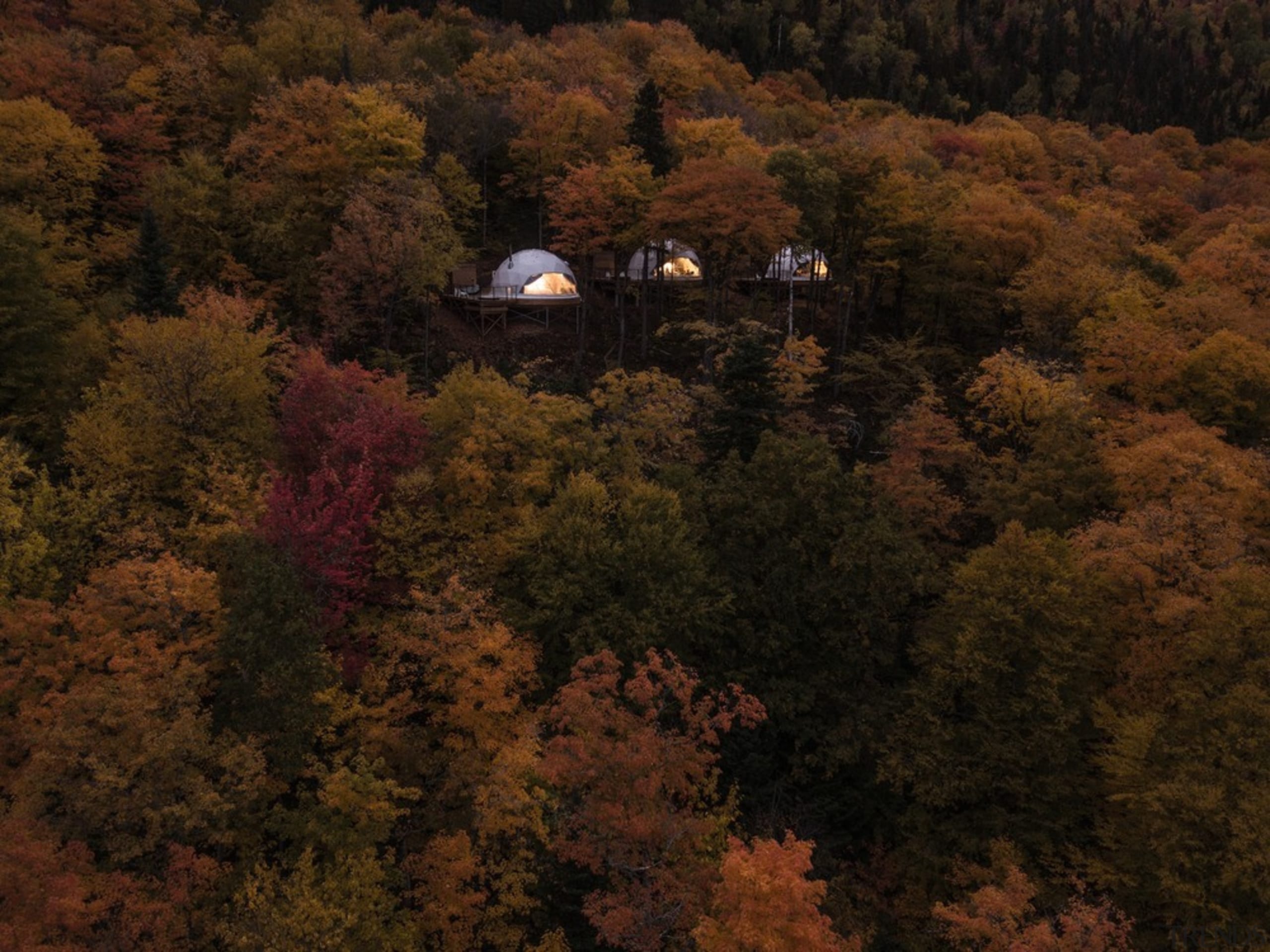 Dome 3 - aerial photography | autumn | aerial photography, autumn, biome, deciduous, forest, hill, landscape, leaf, morning, nature, plant, rural area, sky, temperate broadleaf and mixed forest, tree, wilderness, woody plant, brown, black