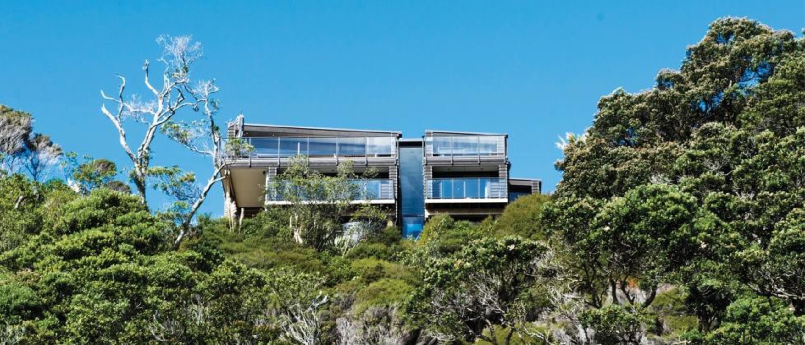 2013 ADNZ National Design Awards Winner - New architecture, cottage, home, house, plant, property, real estate, sky, tree, teal, brown