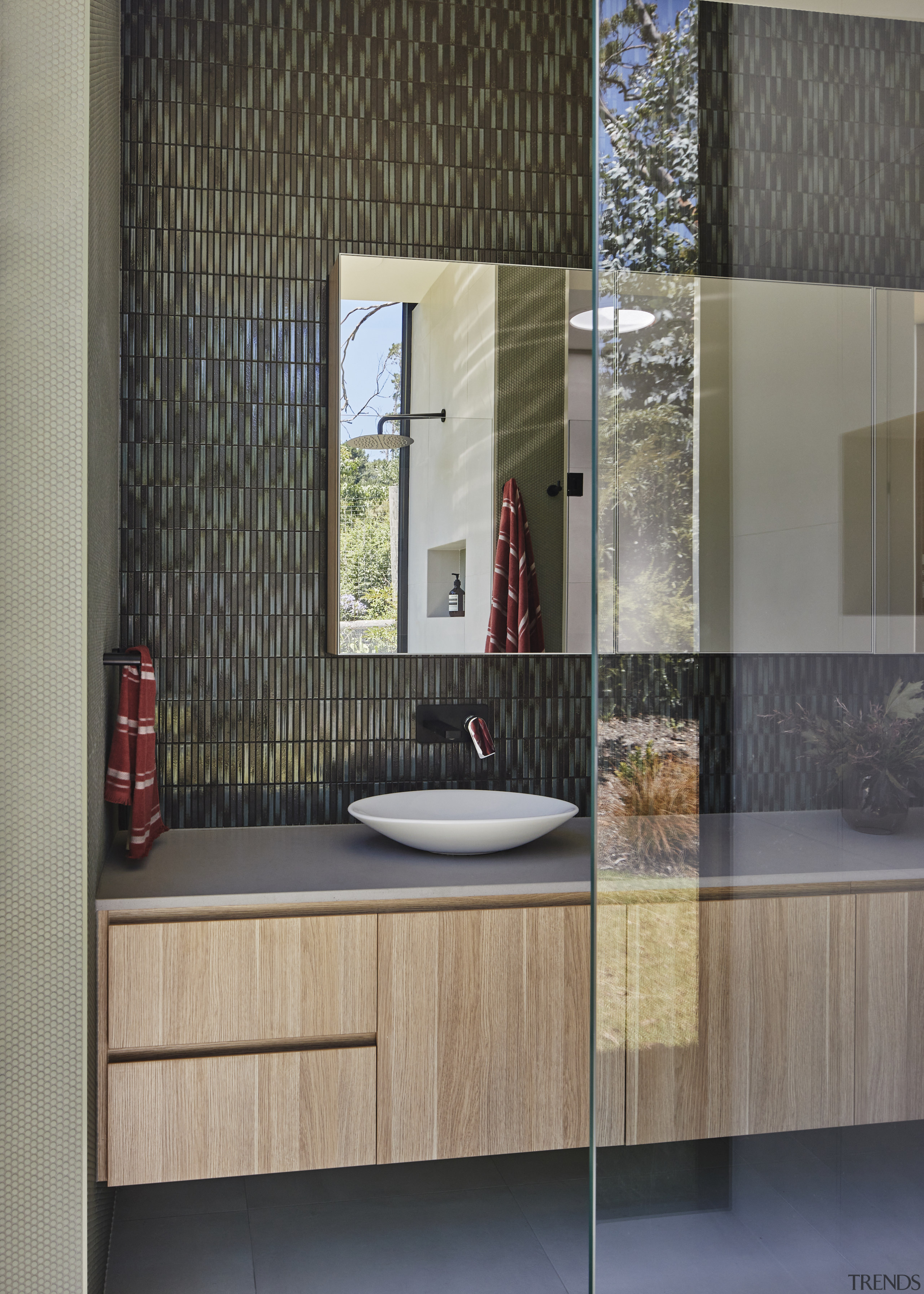 Ensuite vanity and shower in reflection. - Green 