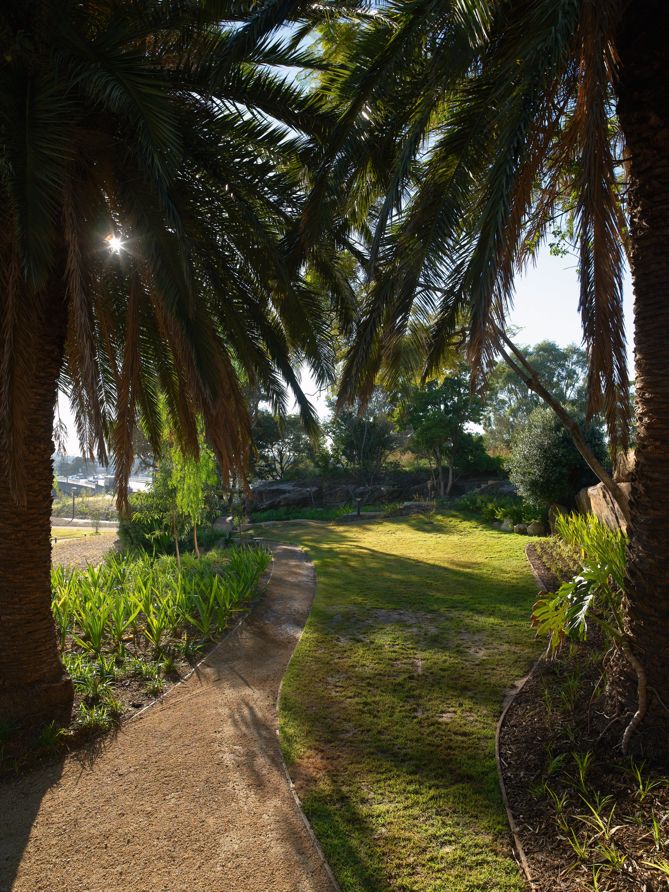 A view of the pathways and landscaped gardens arecales, grass, landscape, leaf, palm tree, path, plant, sky, sunlight, tree, vegetation, woody plant, black