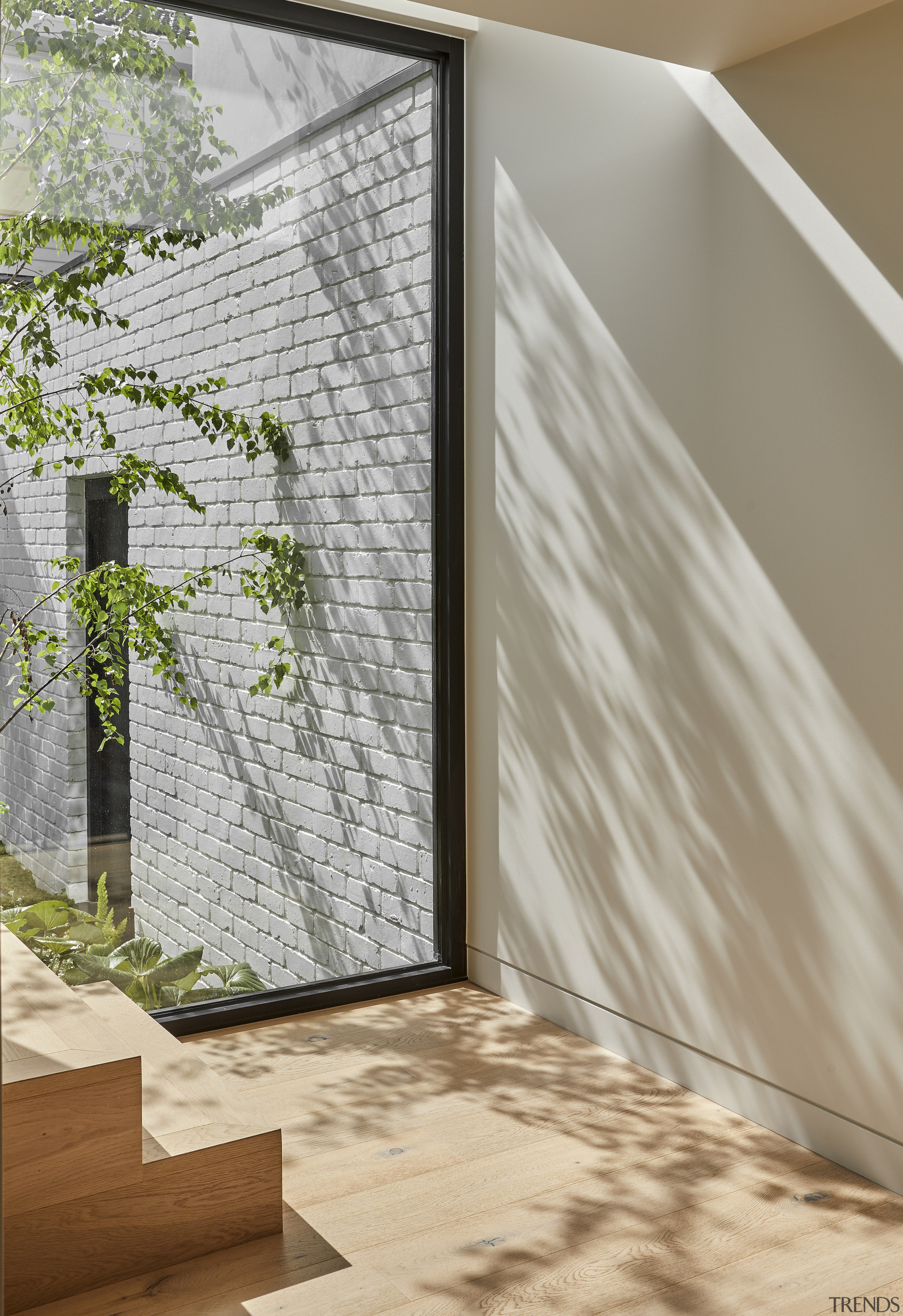 Morning light is captured through this window beside 