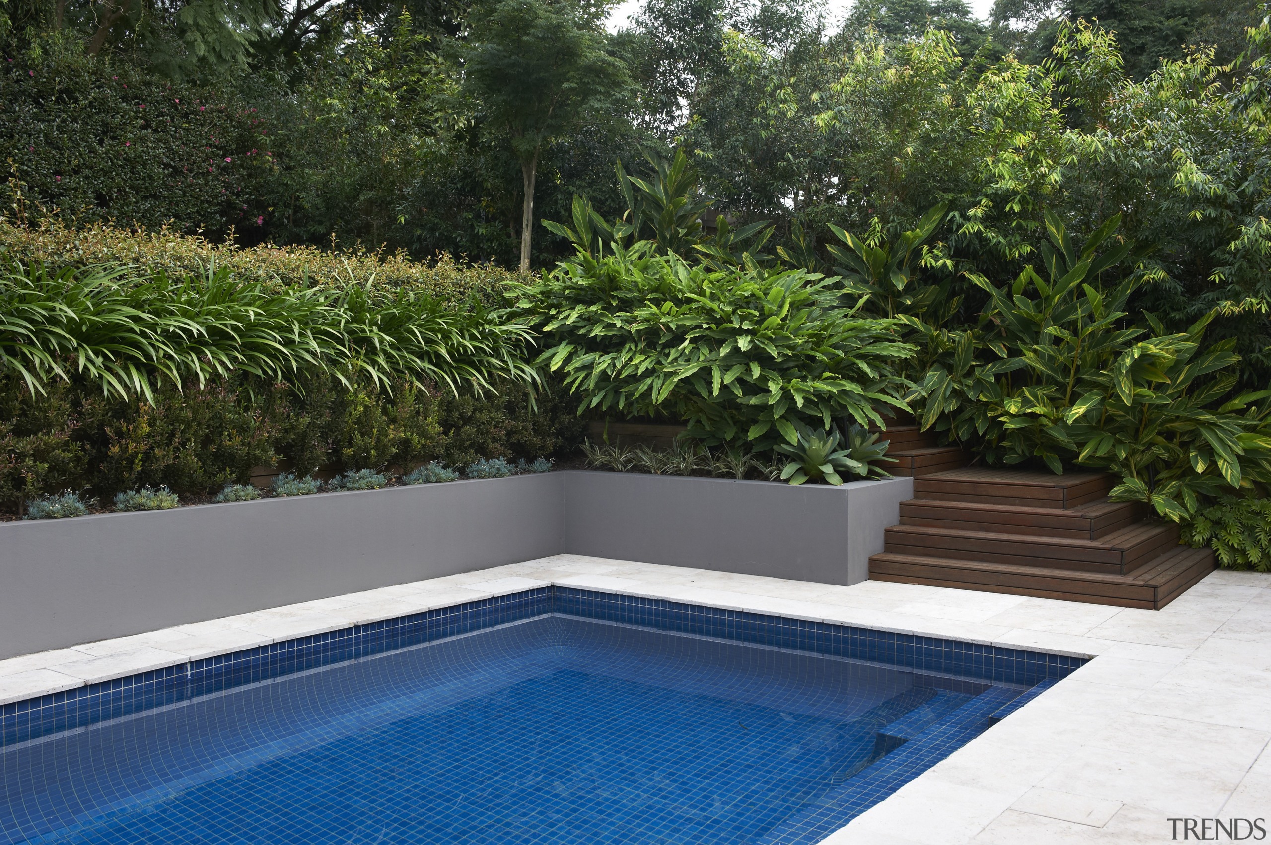 Contemporary outdoor entertaining area - Contemporary outdoor entertaining backyard, plant, property, swimming pool, water, green