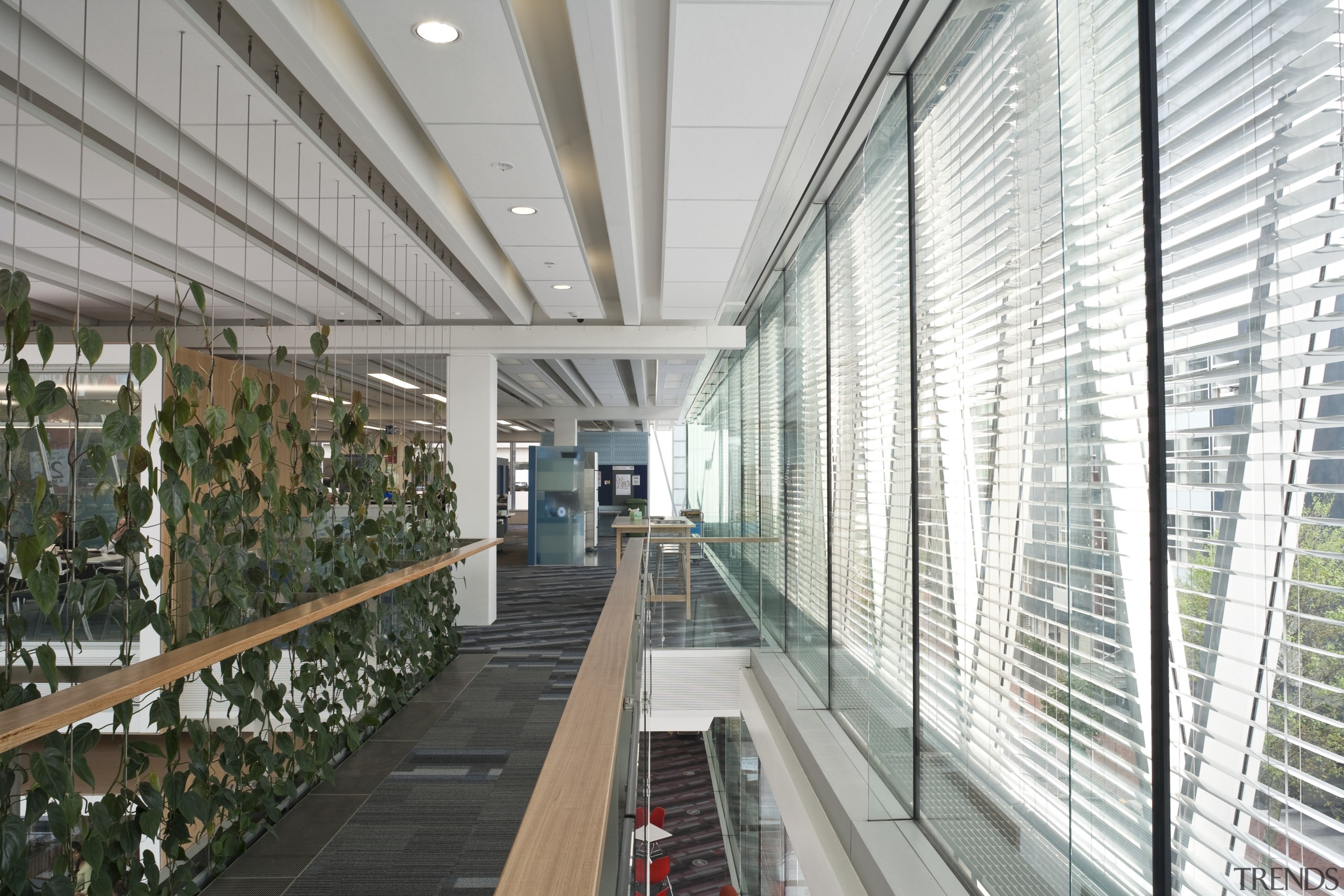 New Zealand Window Shades manufactured and installed the architecture, building, daylighting, metropolitan area, white