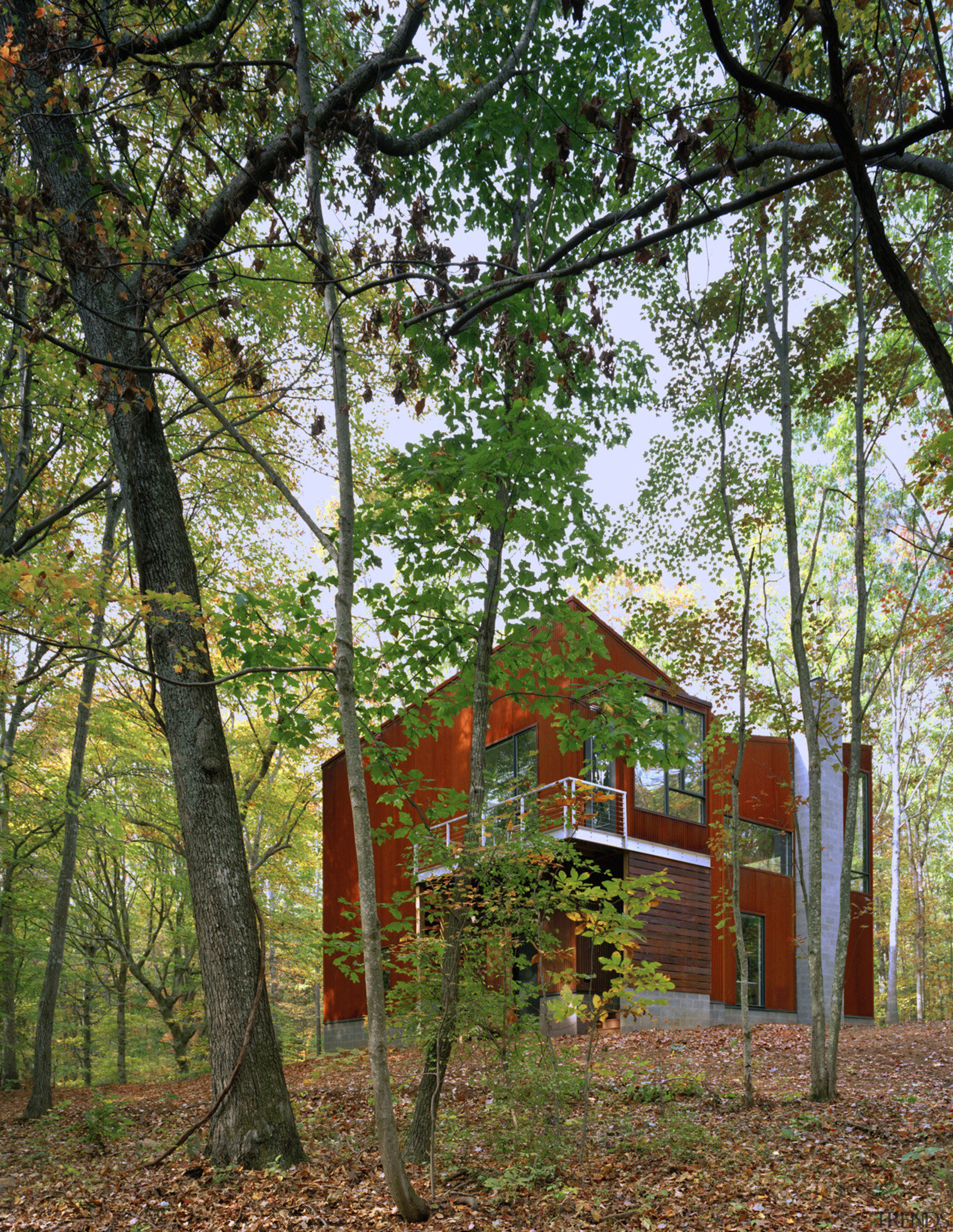 Exterior view of this contemporary remodeled home - autumn, branch, cottage, deciduous, forest, home, house, leaf, log cabin, nature, outdoor structure, path, plant, rural area, tree, wood, woodland, woody plant, brown, green