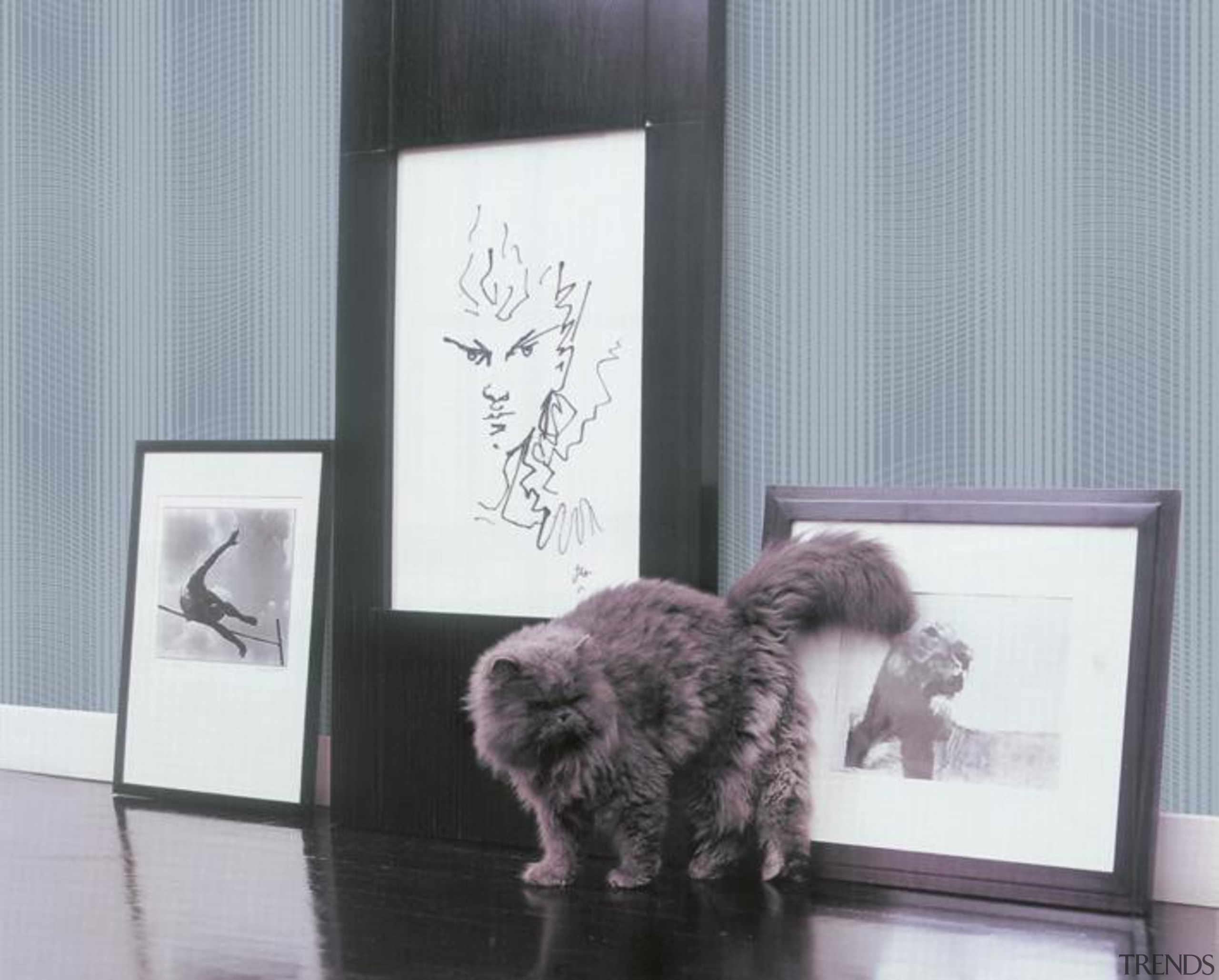 Flow Range - furniture | interior design | furniture, interior design, picture frame, purple, window, gray