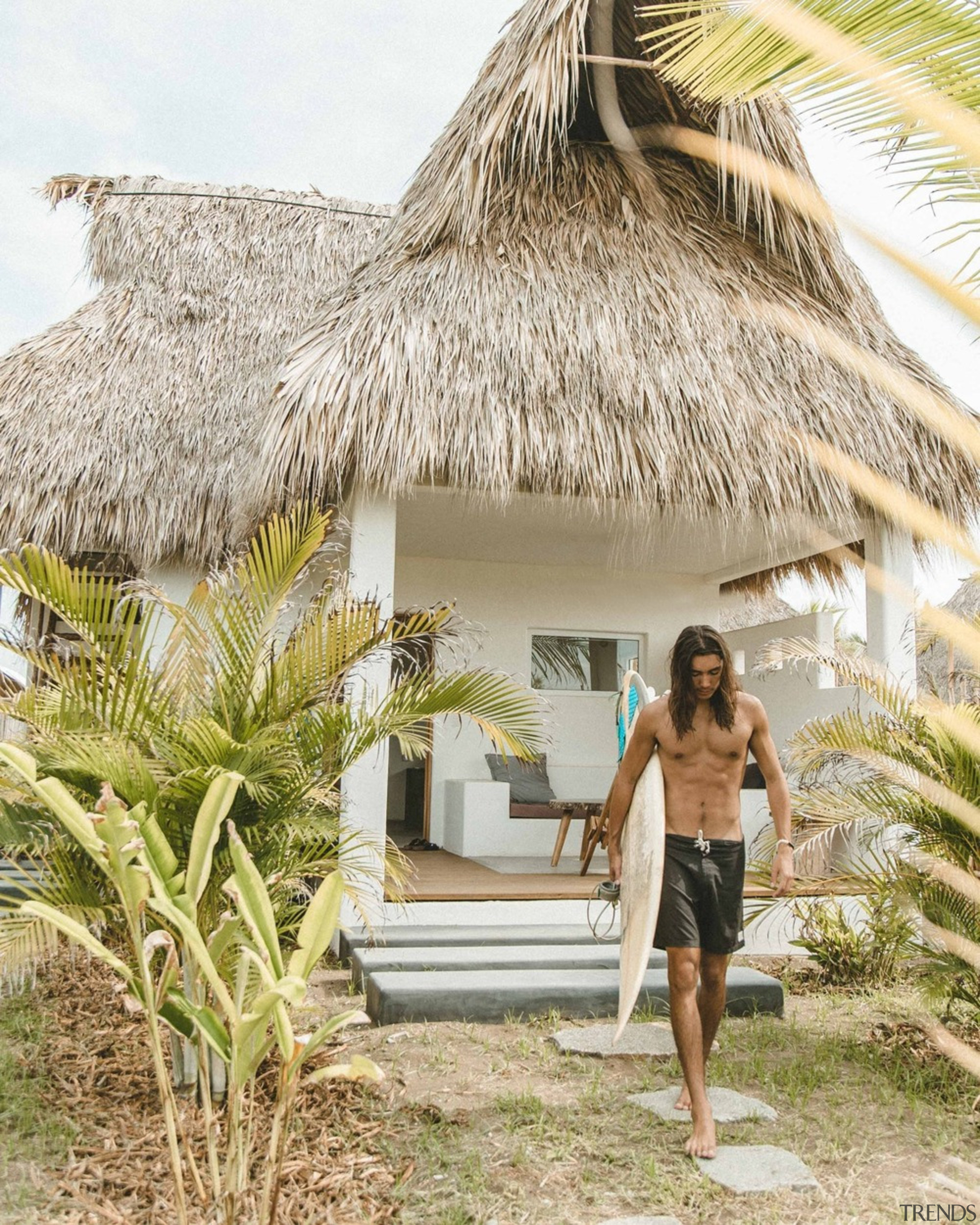 Swell - a surf and lifestyle hotel - arecales, attalea speciosa, building, cottage, house, hut, palm tree, plant, resort, thatching, tree, tropics, vacation, white, brown