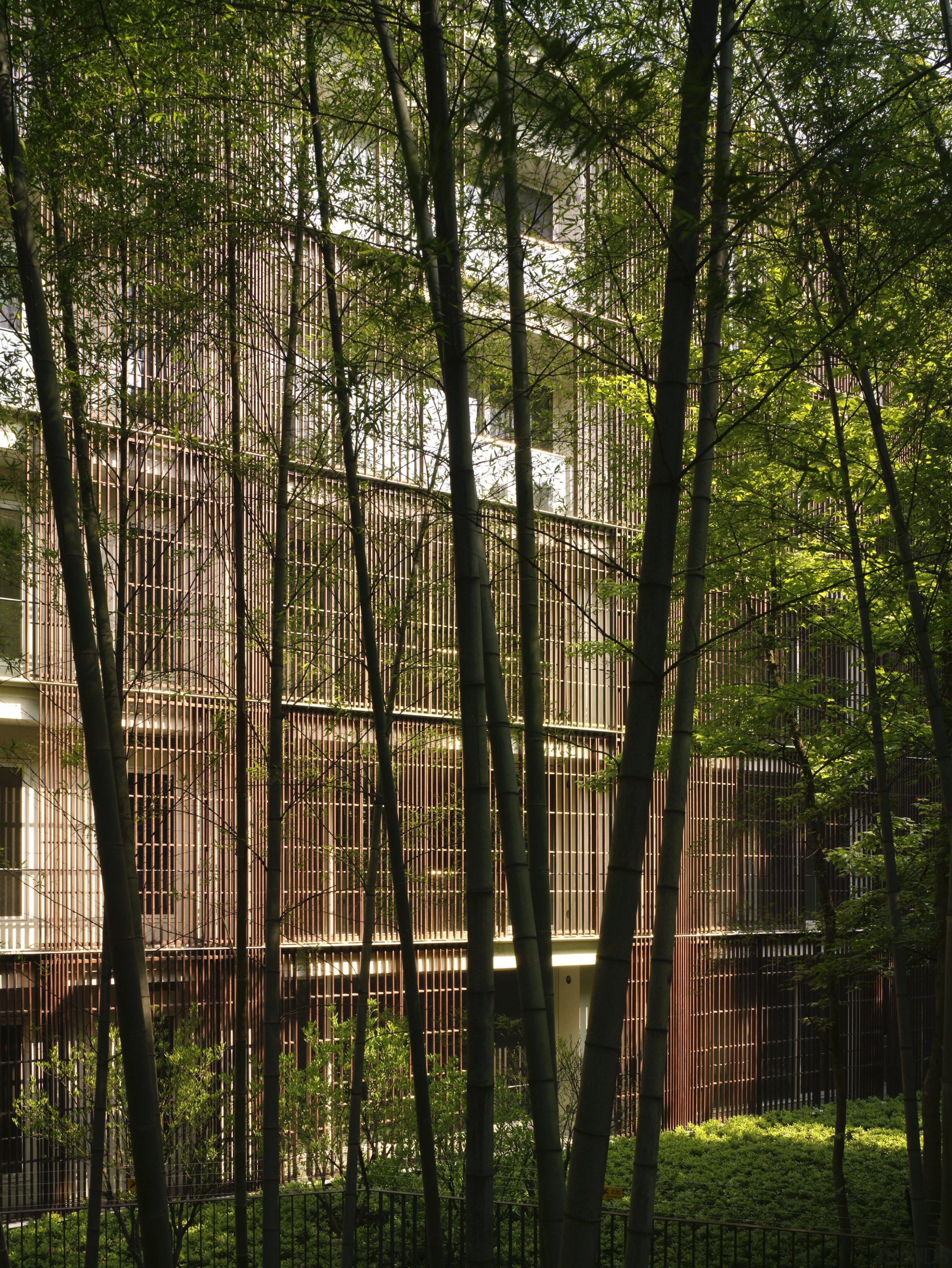 Exterior view of an apartment building which features architecture, biome, fence, forest, grass, house, nature, outdoor structure, plant, reflection, sunlight, tree, woodland, brown