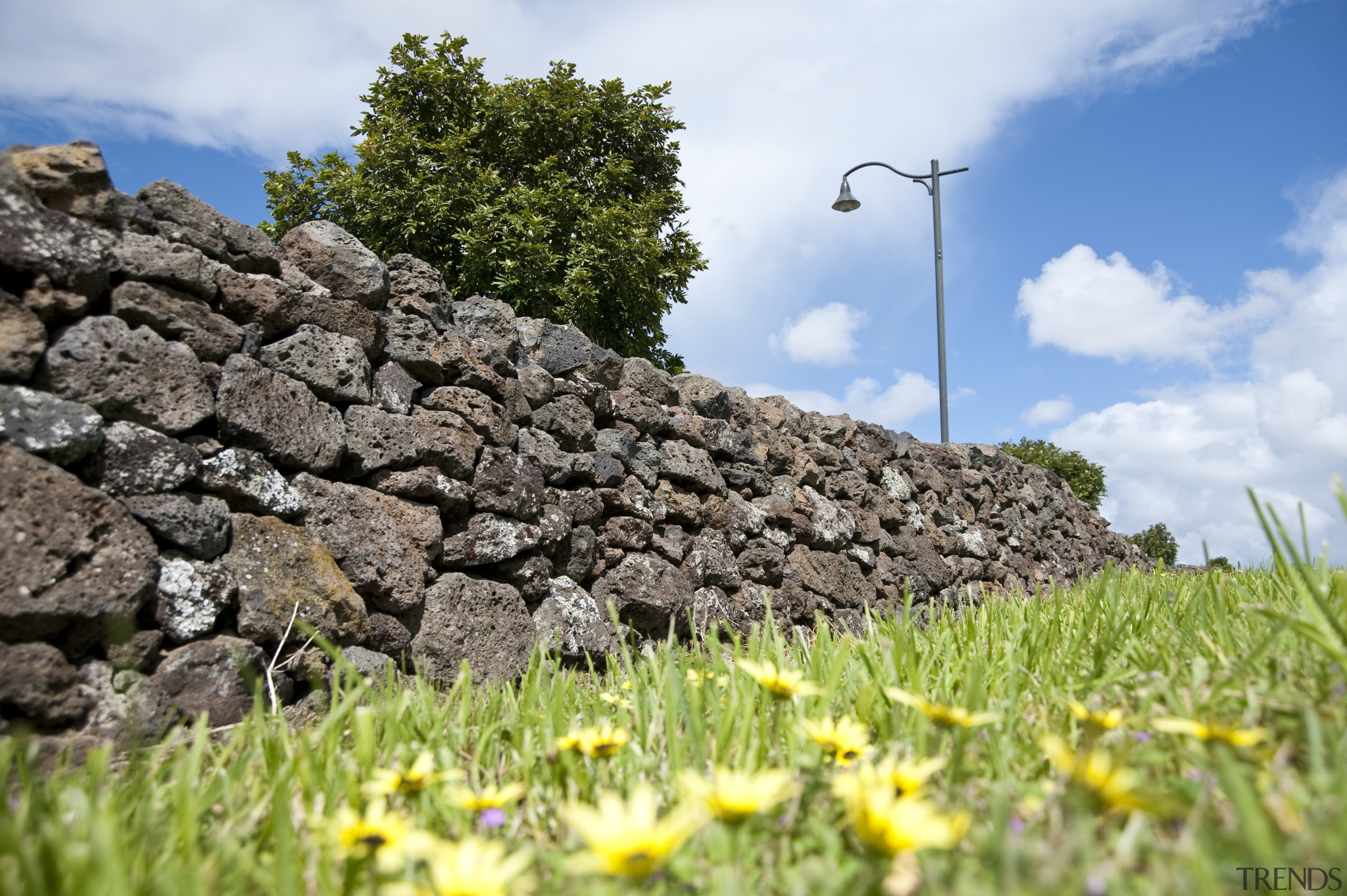 View of Mt Wellington stone walls. - View field, flower, grass, landscape, plant, rock, sky, tree, vegetation, wildflower