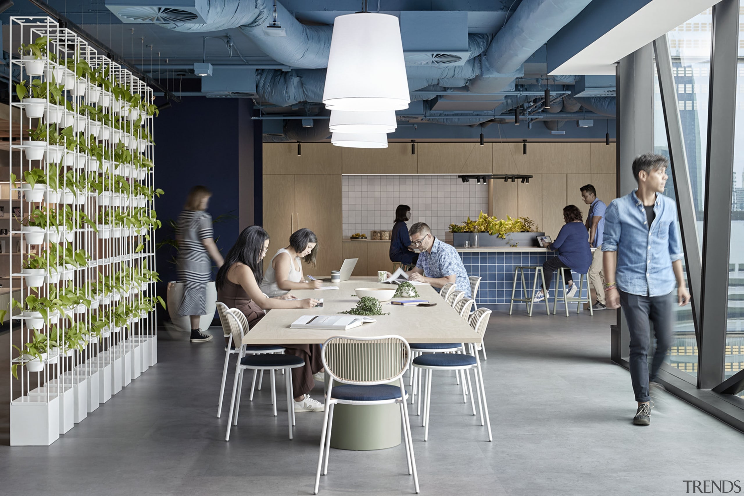 The large, communal, open plan kitchen, with bordering 