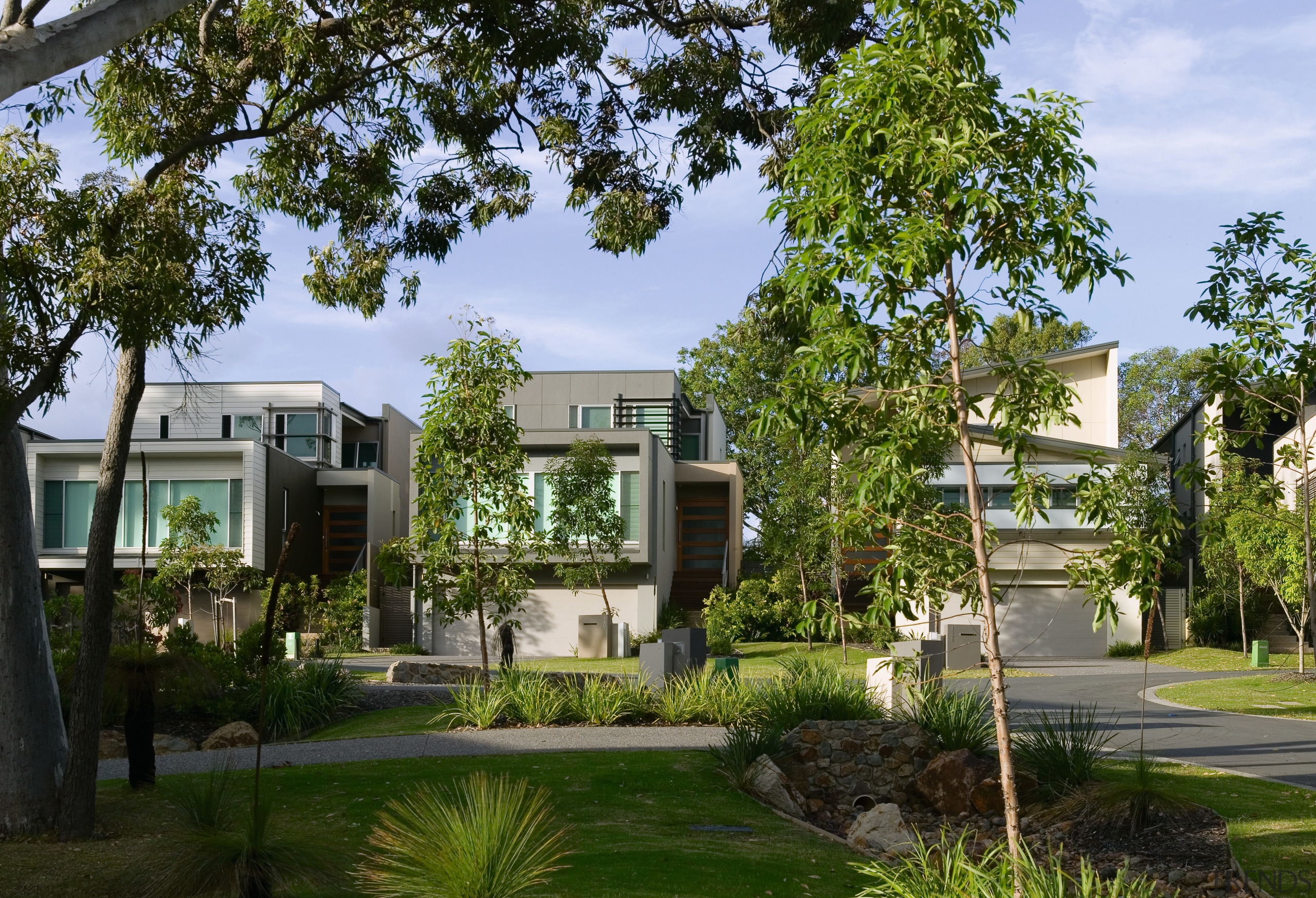 A view of the Visage Development, developed by architecture, condominium, cottage, estate, home, house, mixed use, neighbourhood, plant, property, real estate, residential area, tree, brown