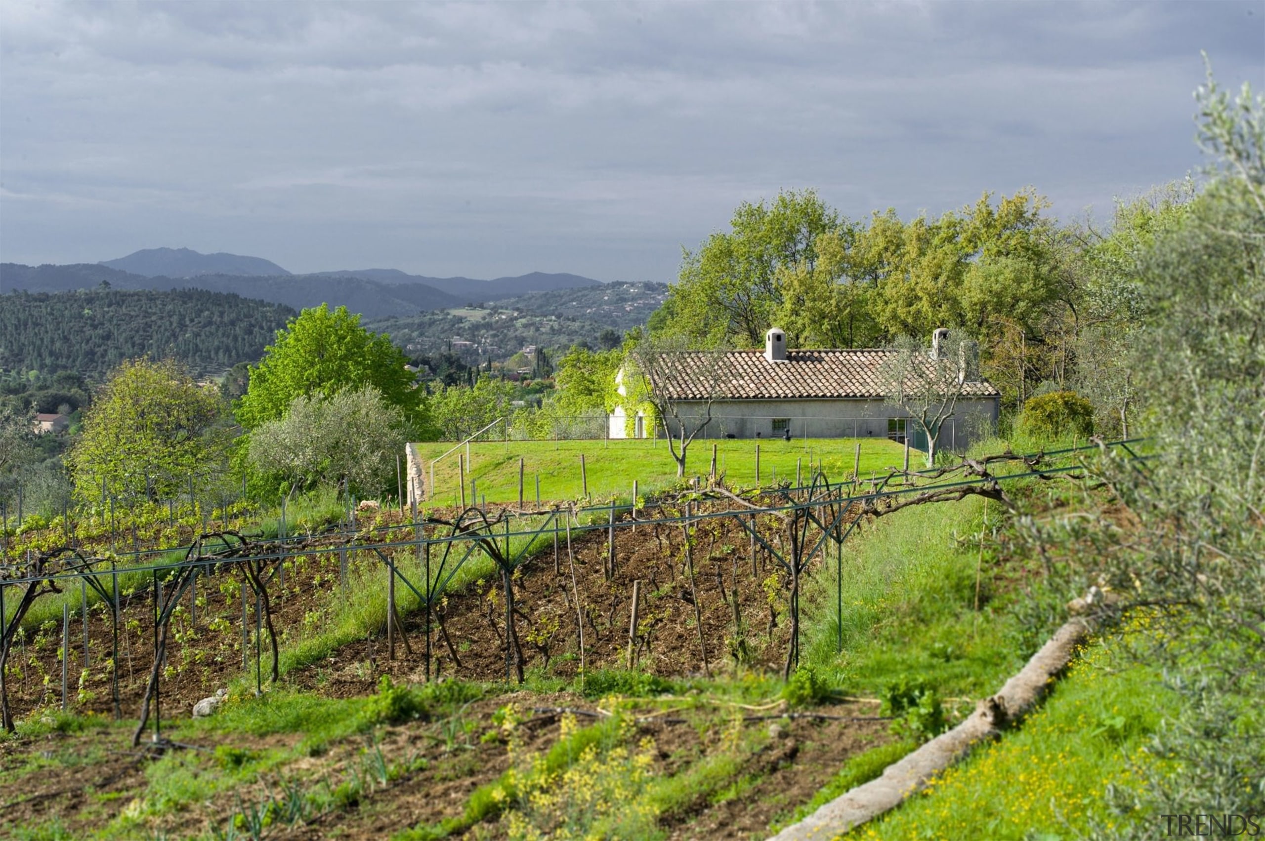 Architect: ELLENA MEHL ELLENAMEHL LNAMEL architectes agriculture, farm, field, grass, grassland, highland, hill, hill station, landscape, mountain, pasture, rural area, sky, tree, vegetation, village, vineyard, gray, brown