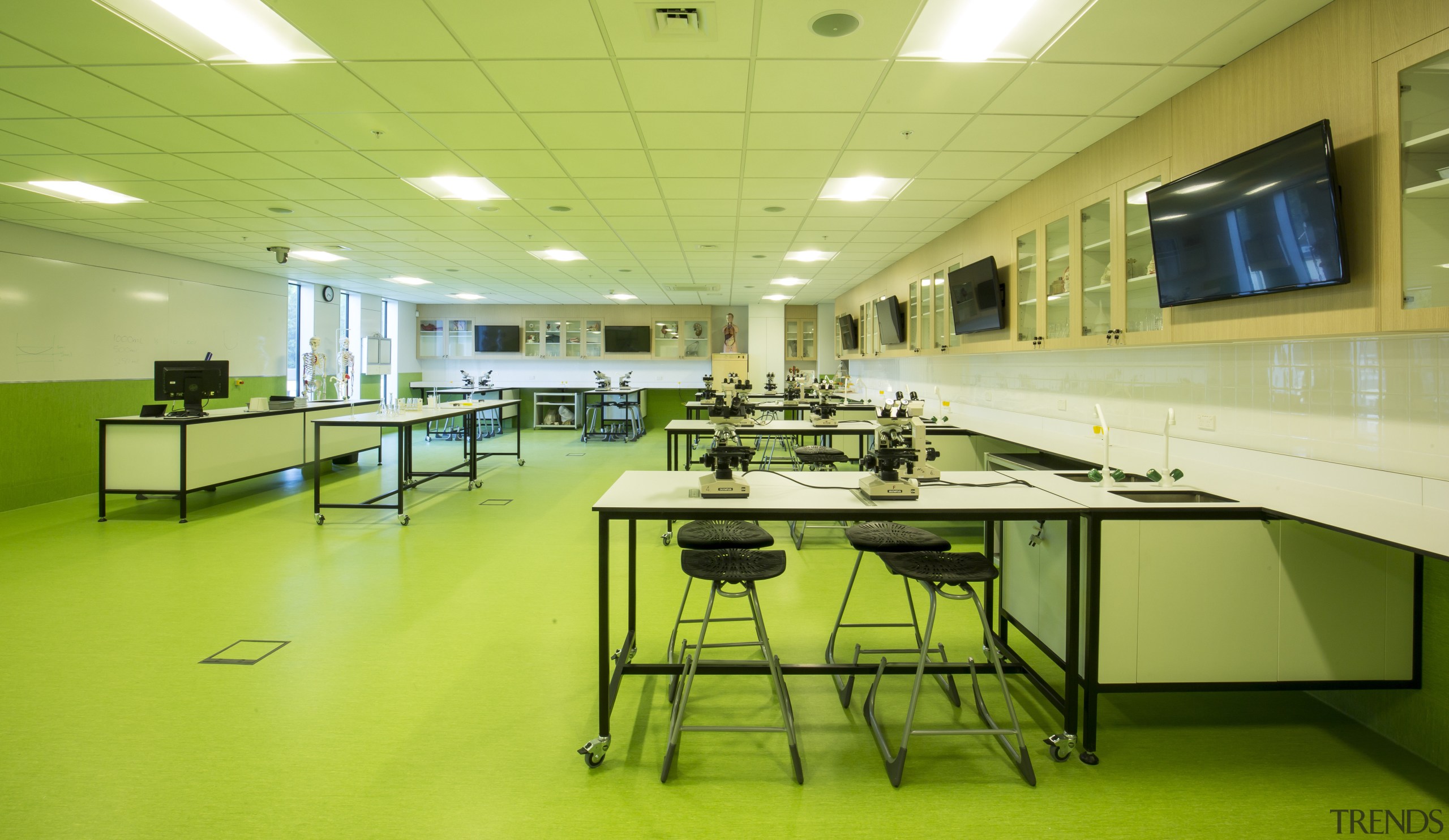 Services are laid to the perimeter of laboratory cafeteria, interior design, office, table, yellow, green, yellow