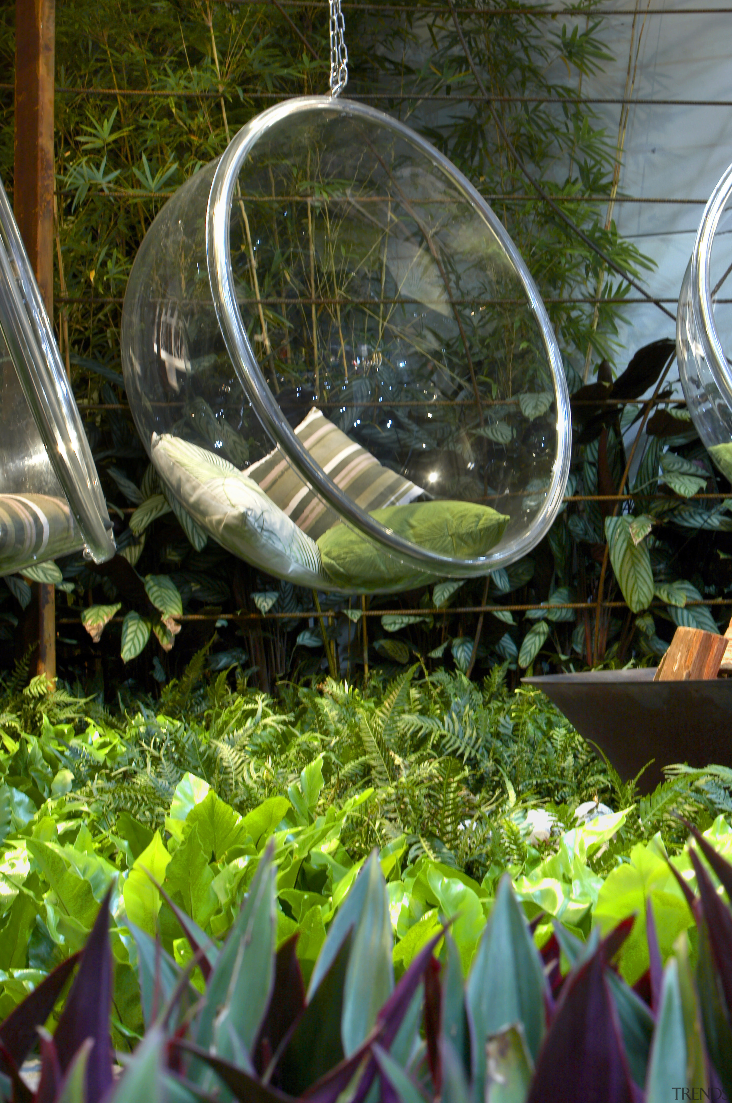 View of a landscaped garden which features three flora, garden, grass, leaf, plant, tree, green, brown