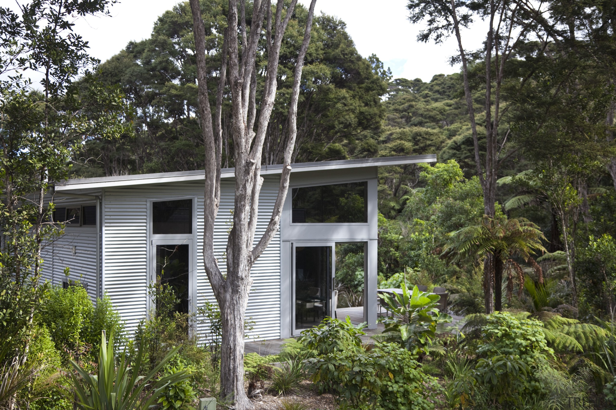 View of contemporary home surrounded by trees. - architecture, cottage, home, house, jungle, plant, property, rainforest, real estate, tree, brown