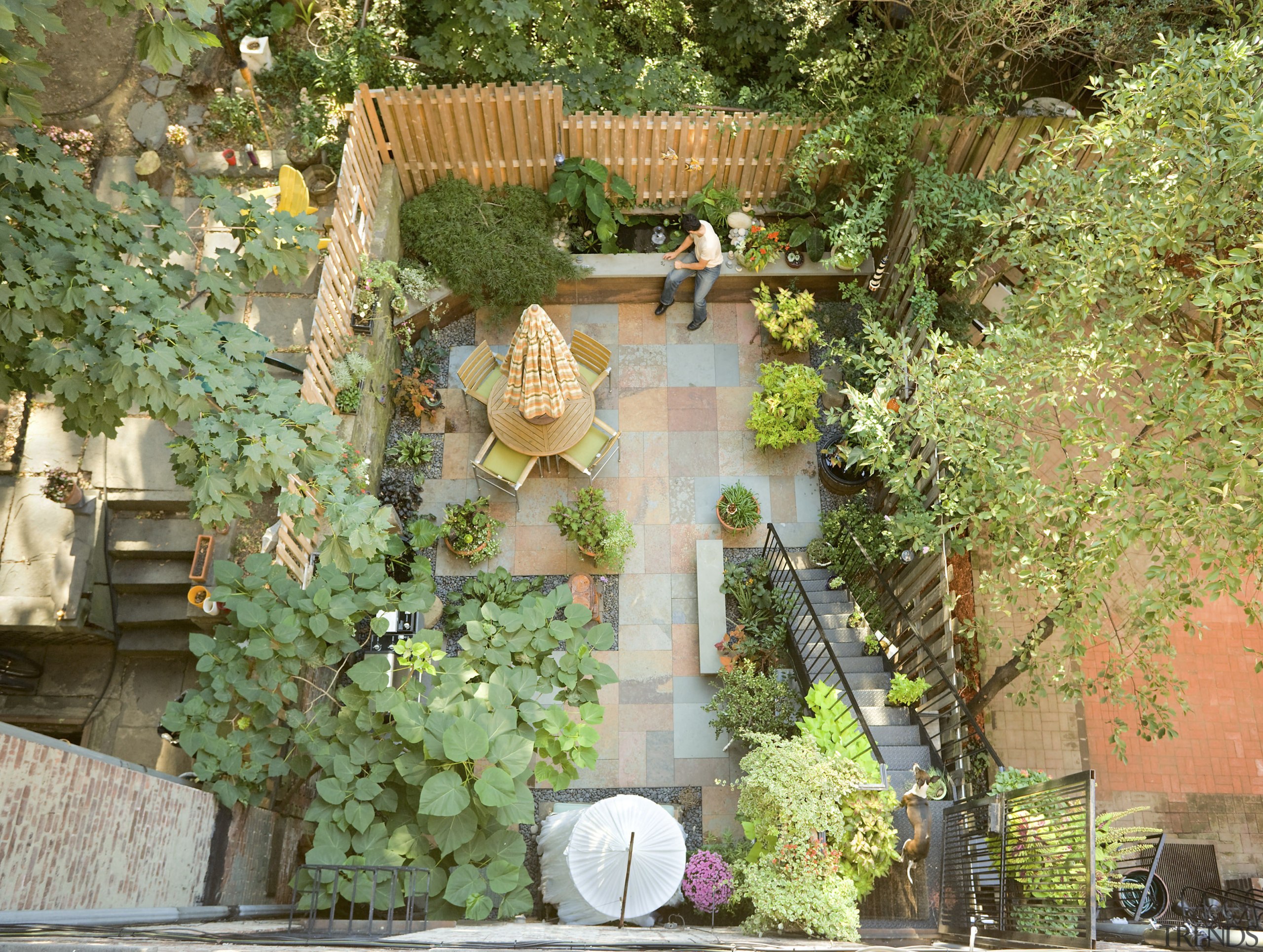 Exterior view of the outdoor area featuring slate backyard, courtyard, flower, garden, home, house, outdoor structure, plant, property, tree, brown, green